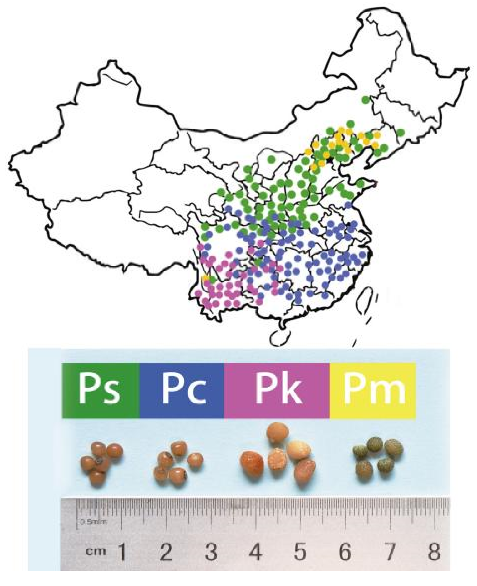 Molecules 27 01445 g001
