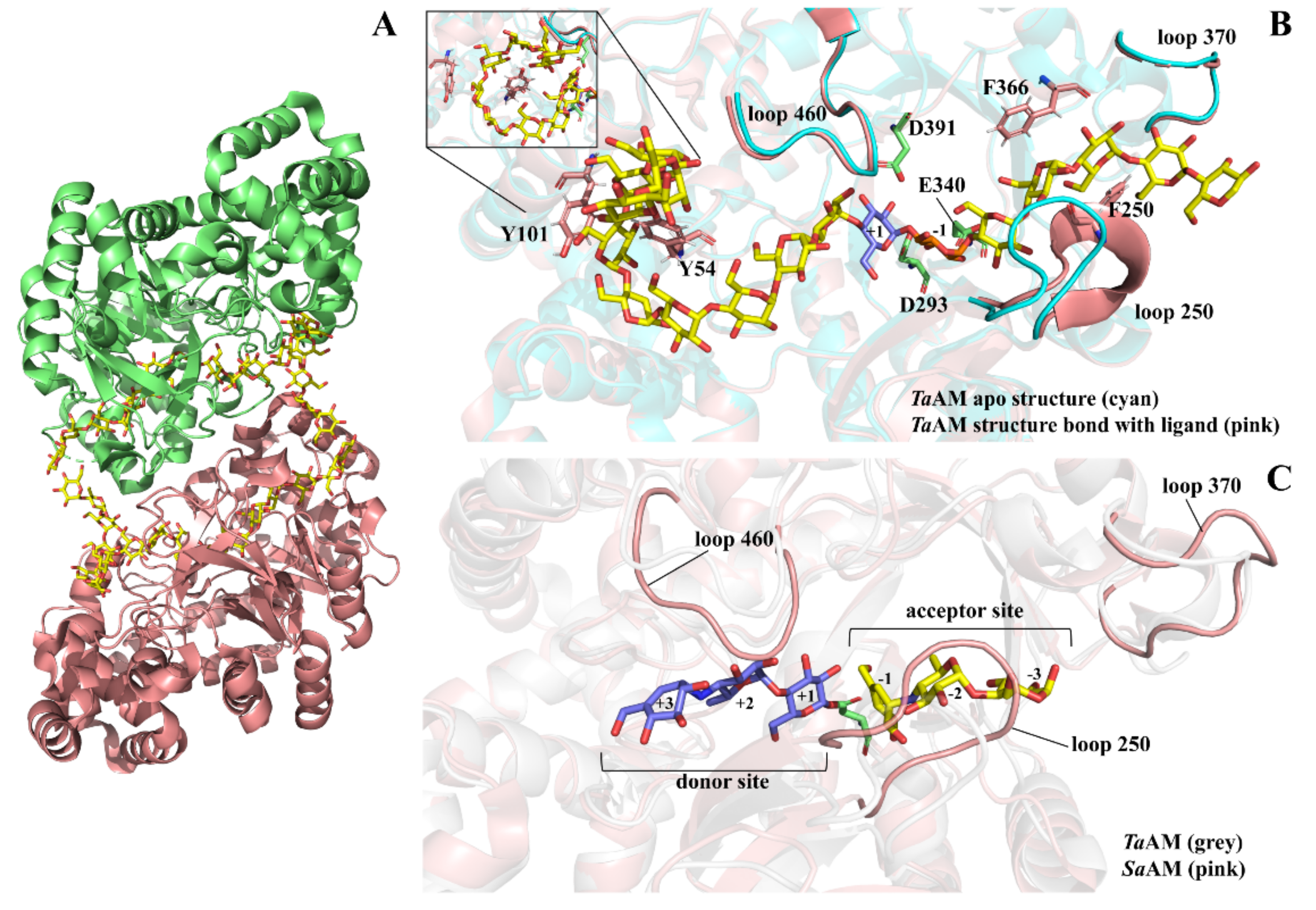 Molecules 27 01446 g002