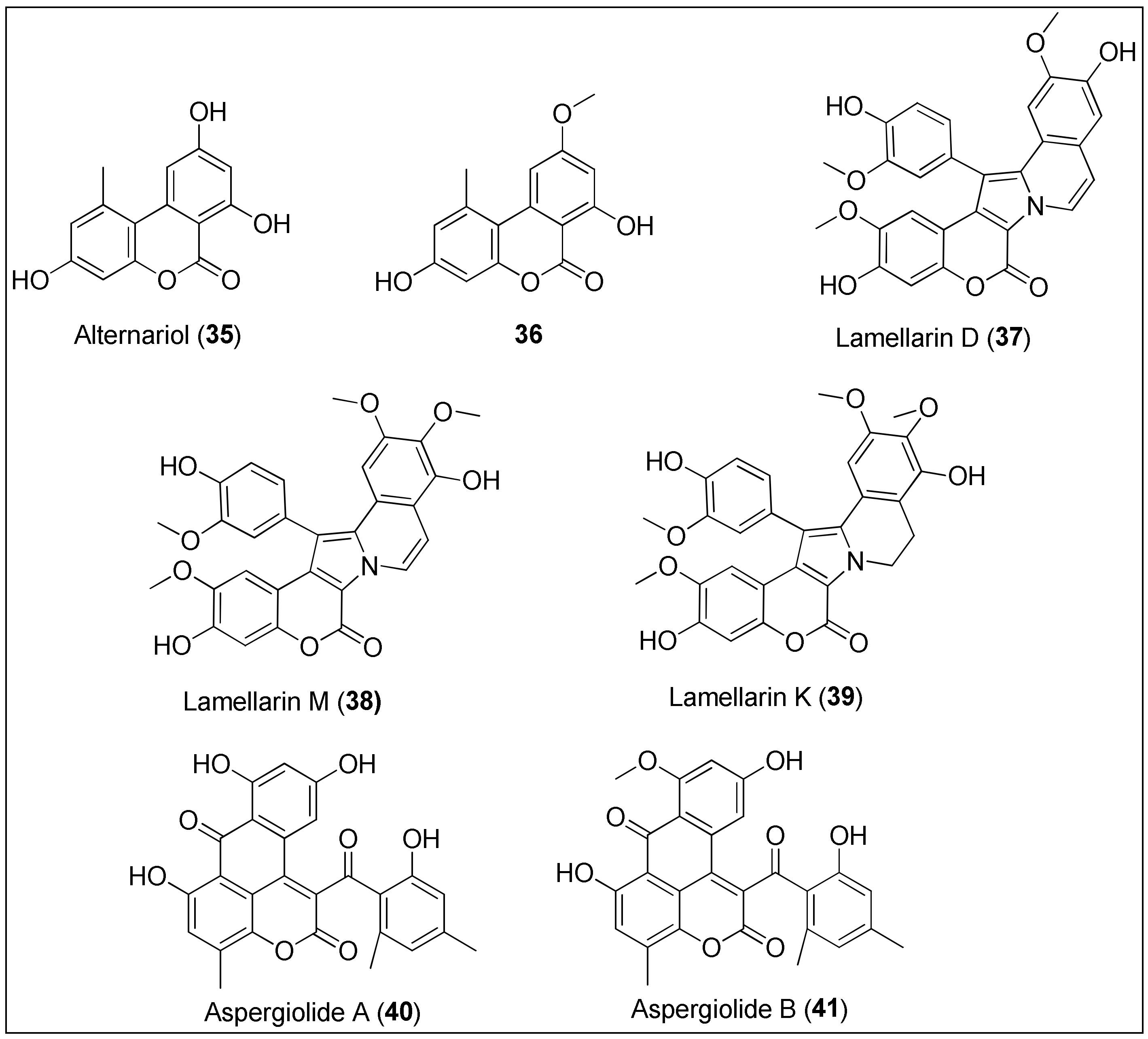 Molecules 27 01449 g004 Molecules 27 01449 g004