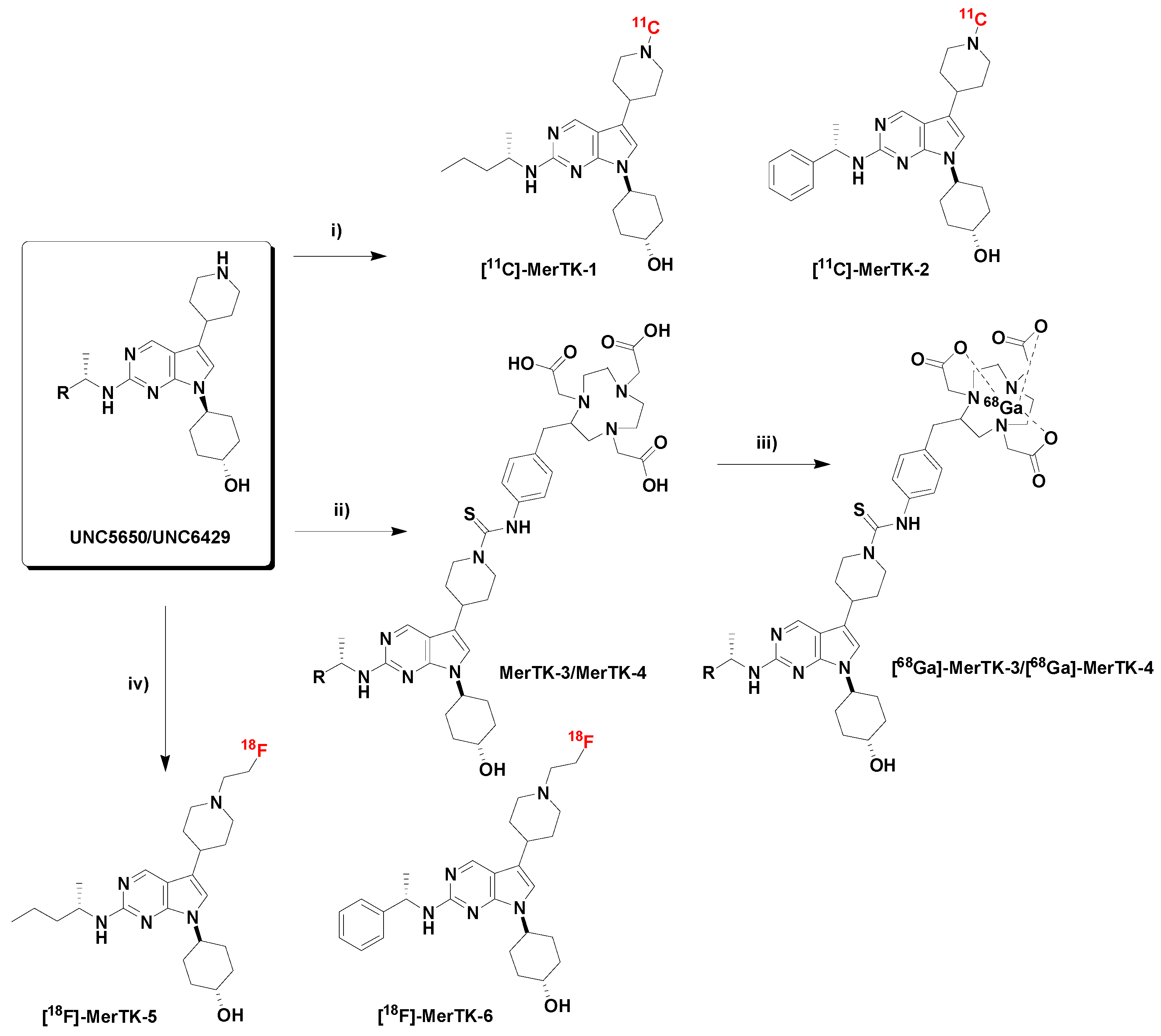 Molecules 27 01460 sch002