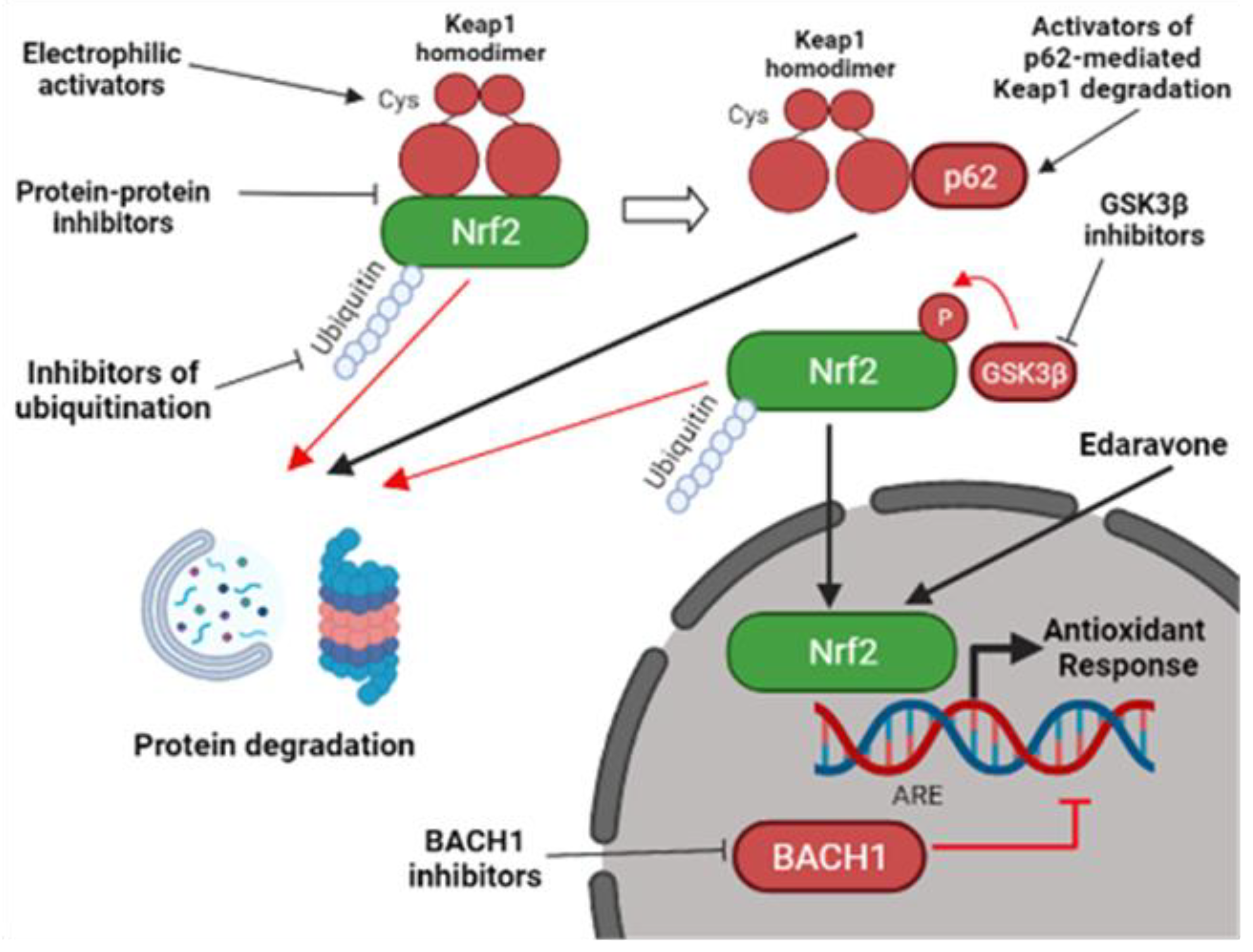 Molecules 27 01471 g002