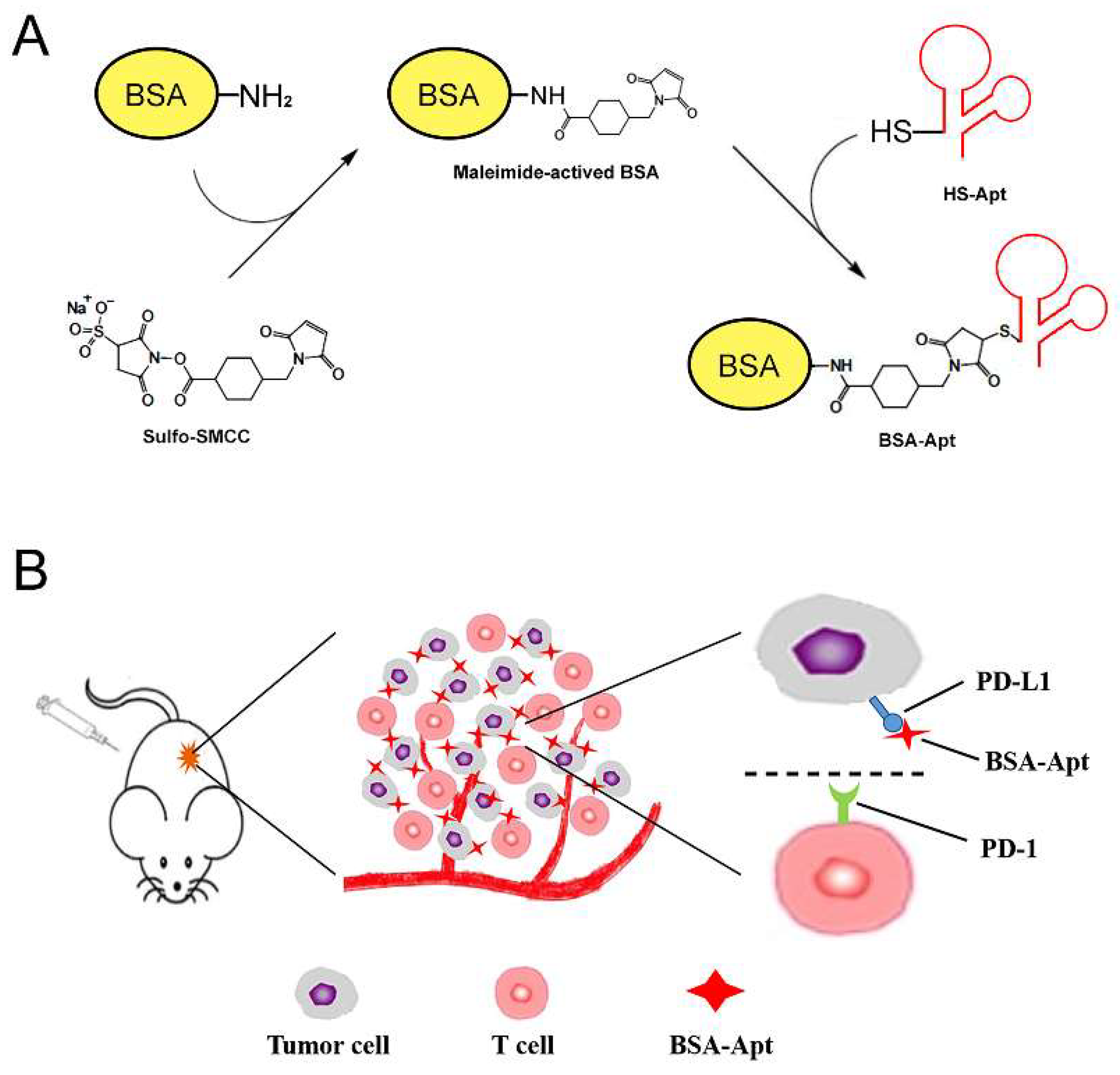 Molecules 27 01482 g001