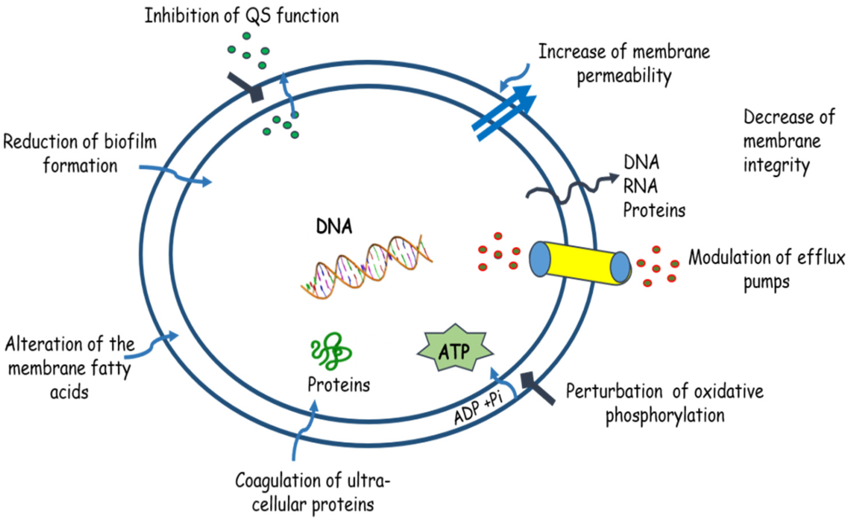 Molecules 27 01484 g001