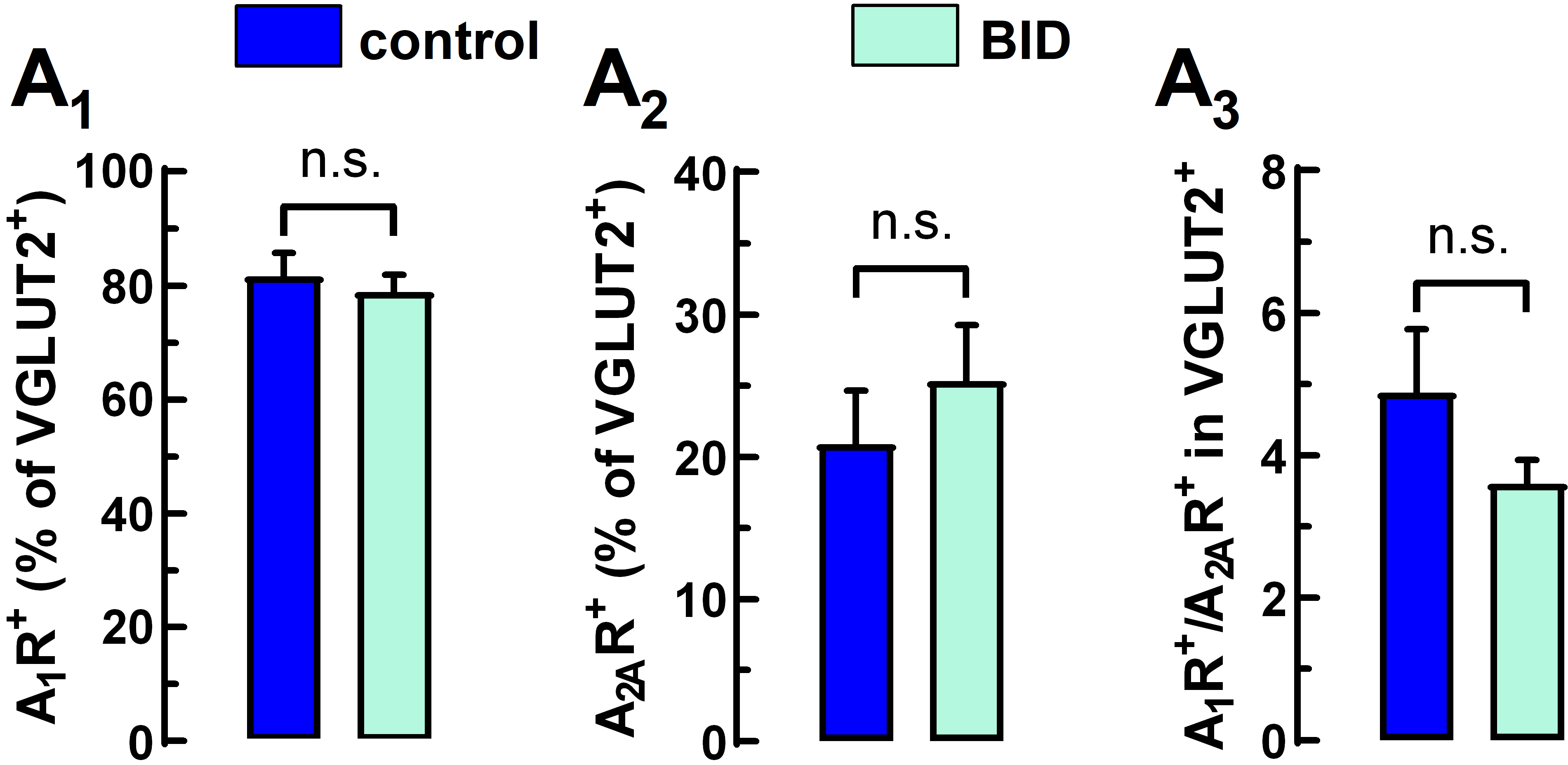 Molecules 27 01489 g004