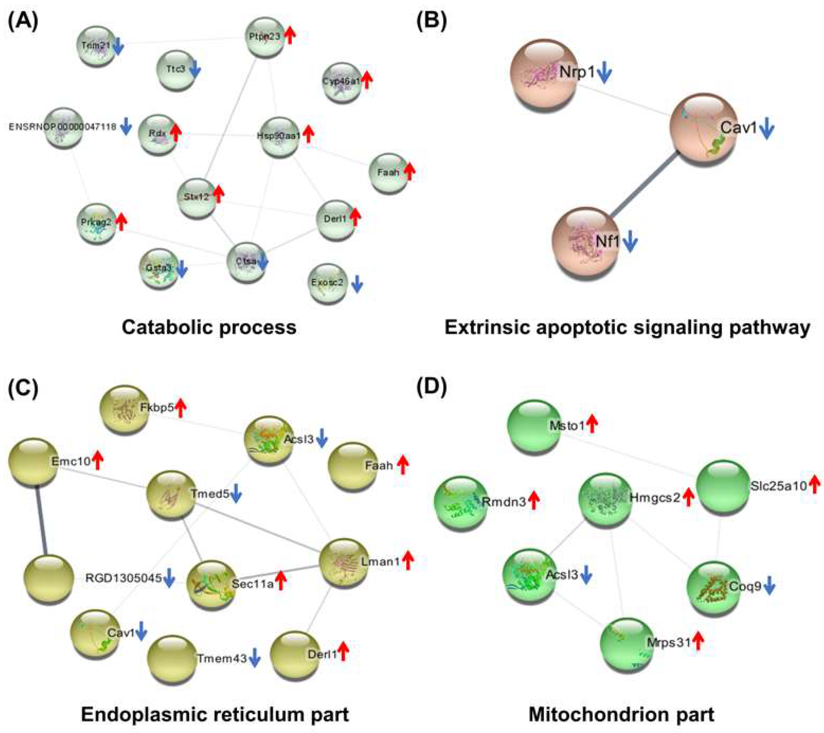 Molecules 27 01495 g006