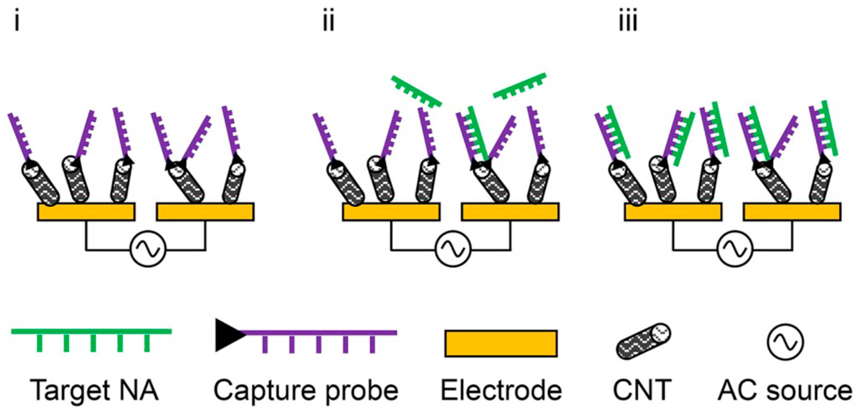 Molecules 27 01497 g010