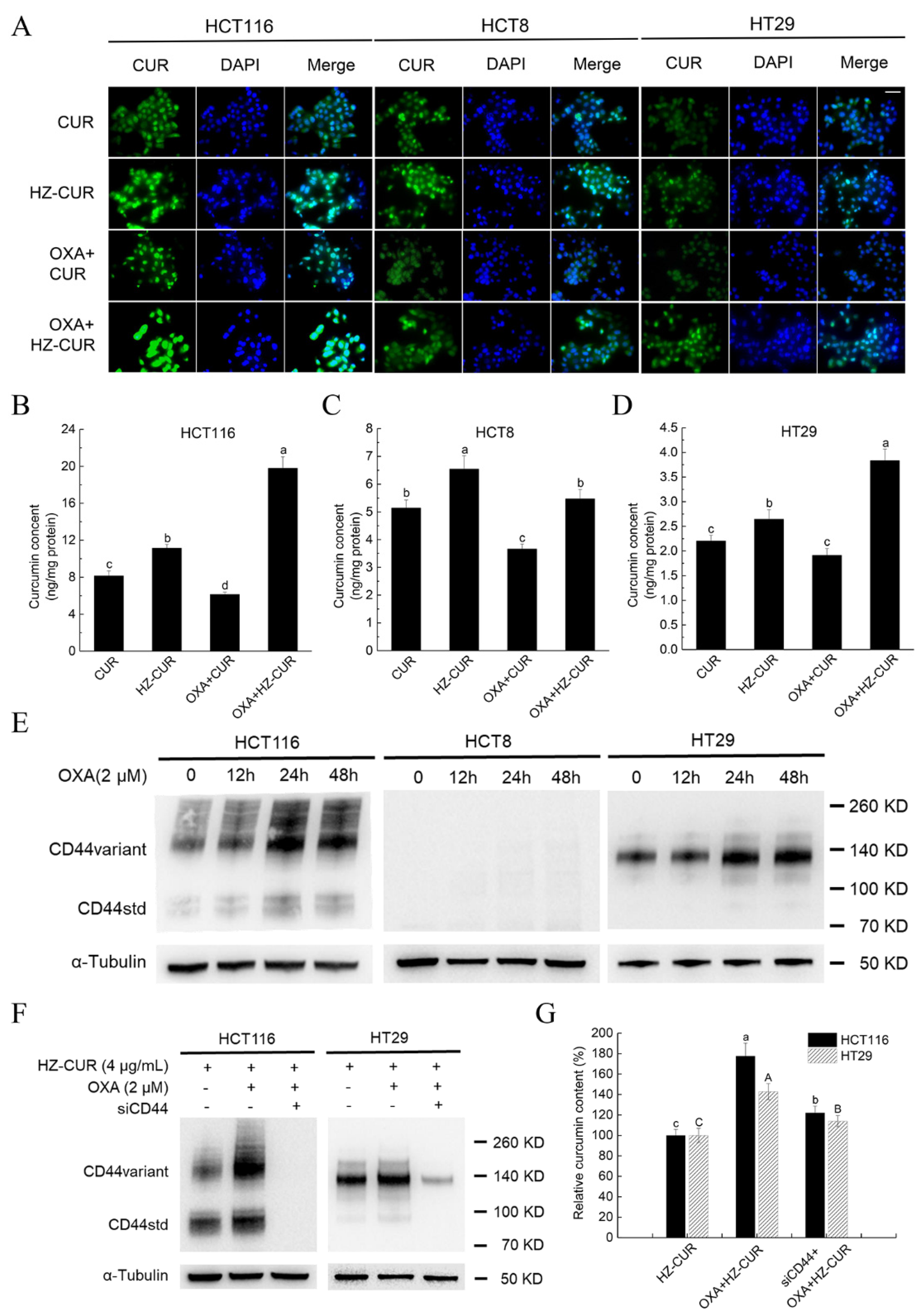 Molecules 27 01498 g003