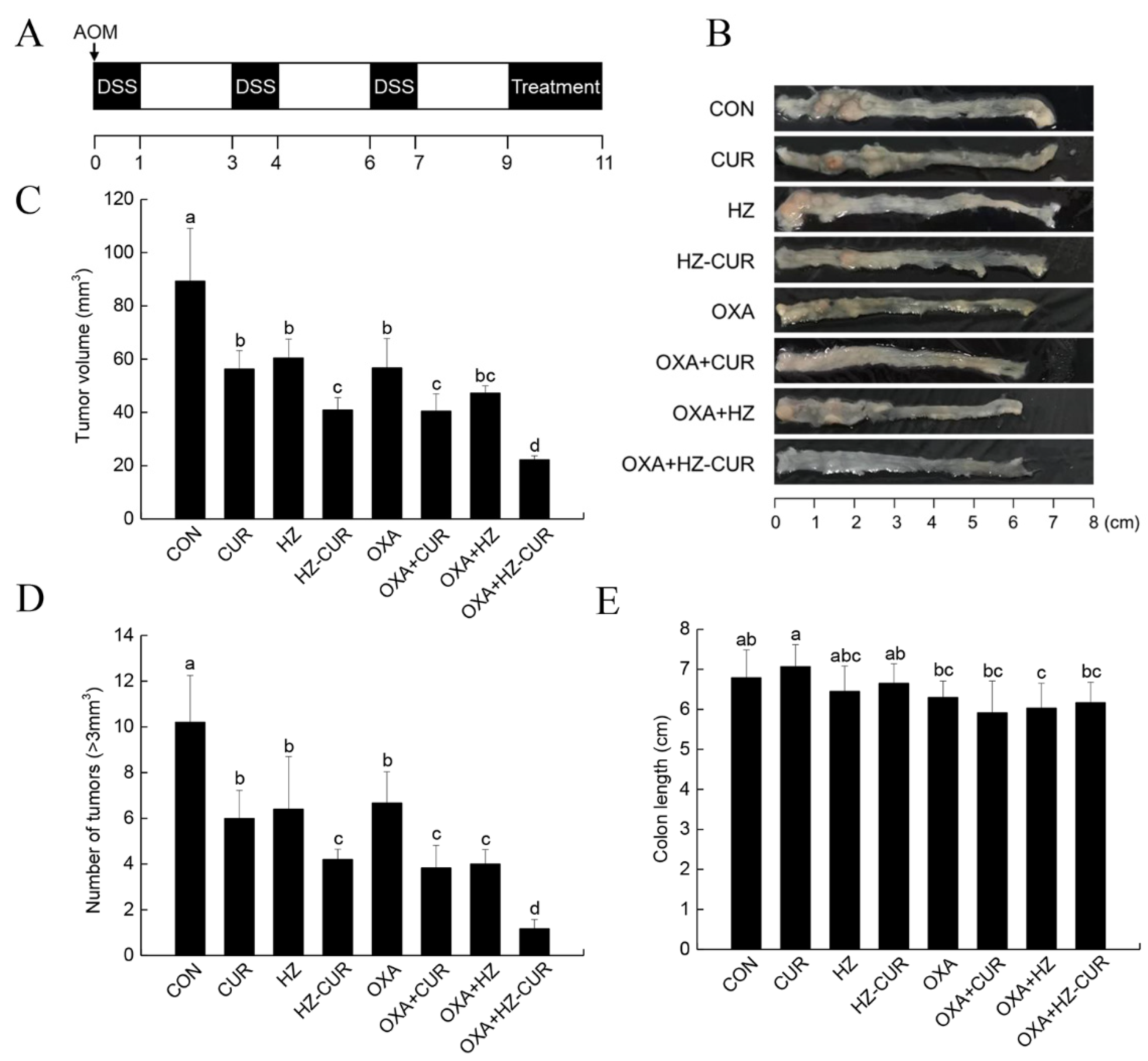 Molecules 27 01498 g005