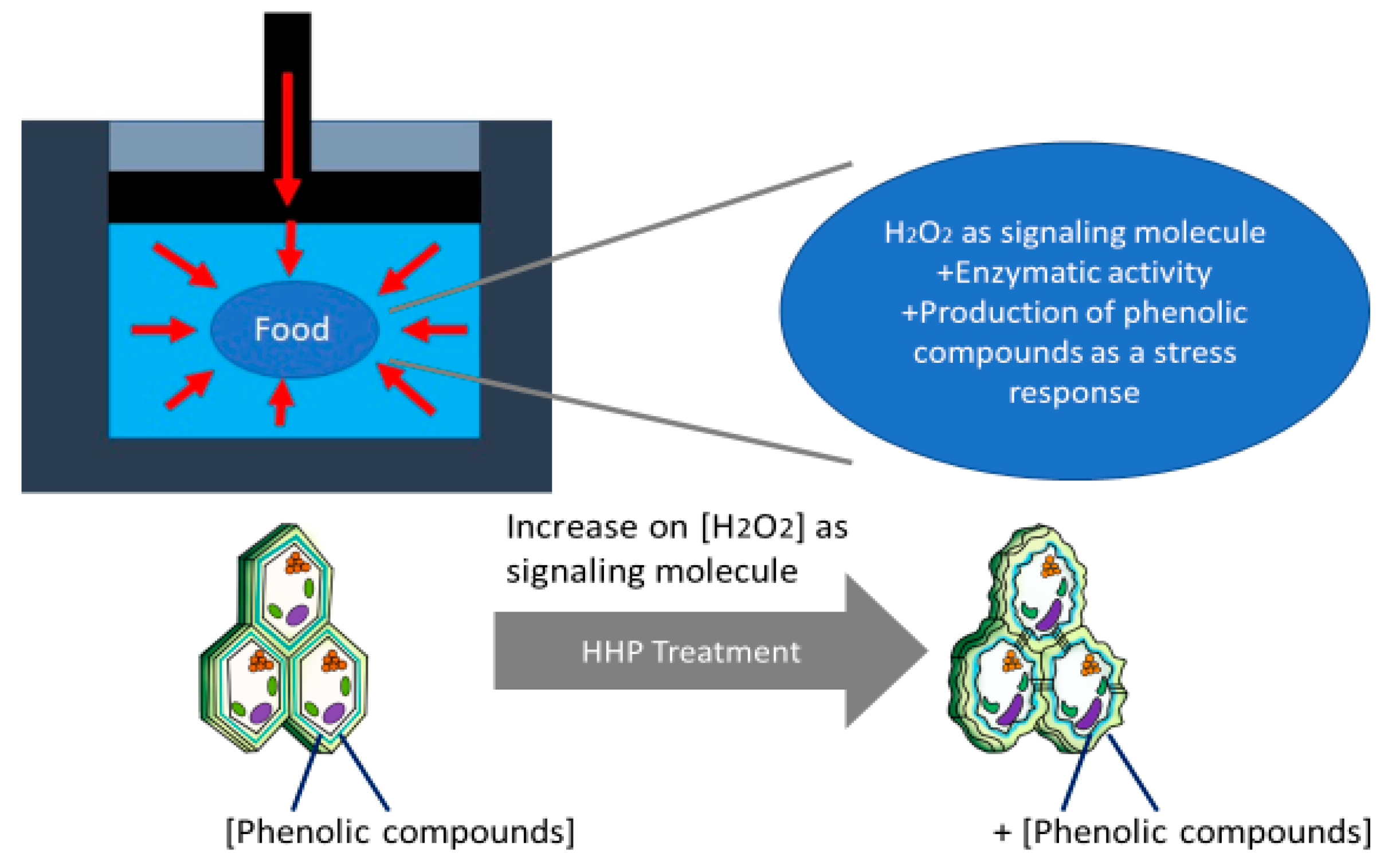 Molecules 27 01502 g003