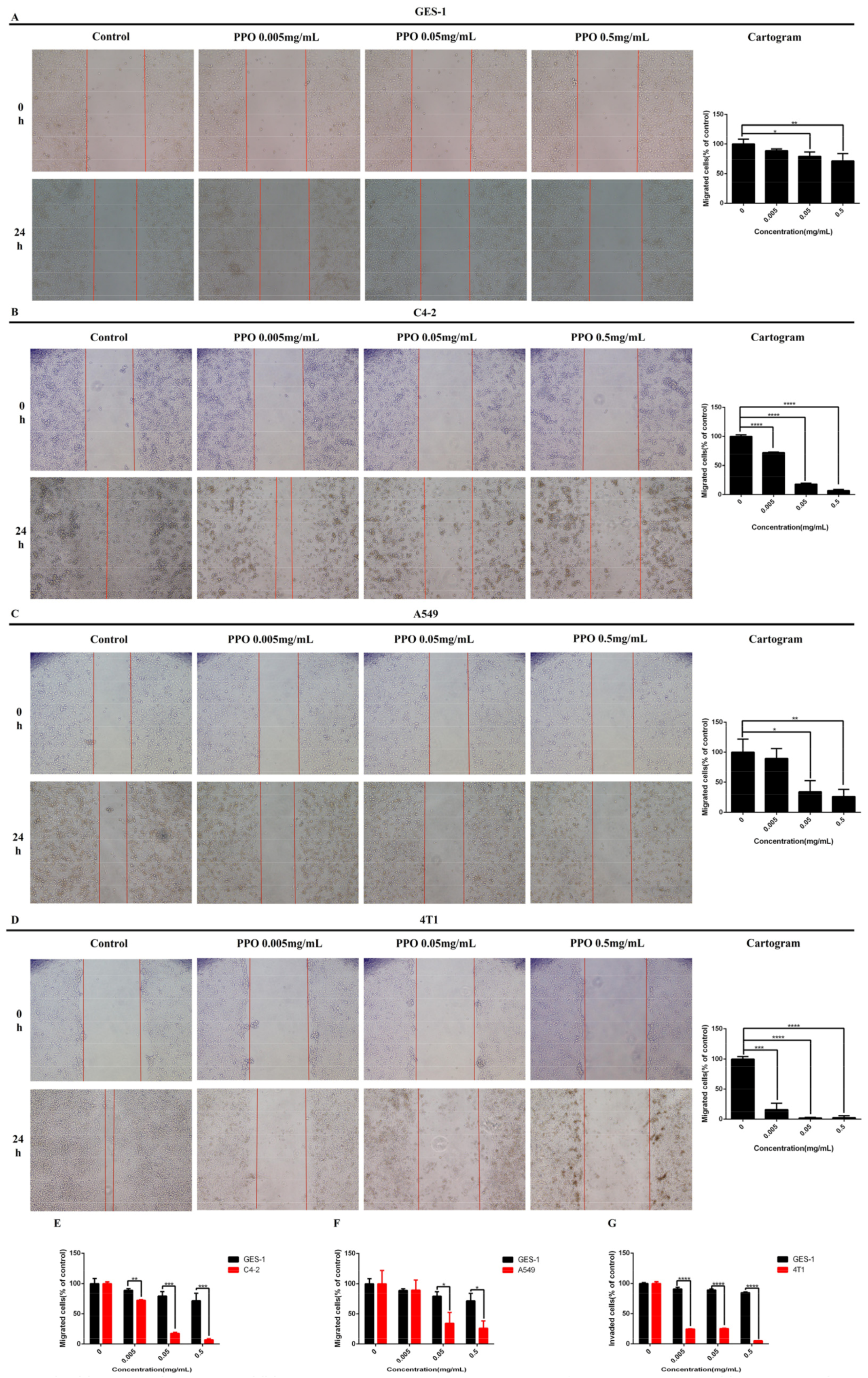 Molecules 27 01515 g003