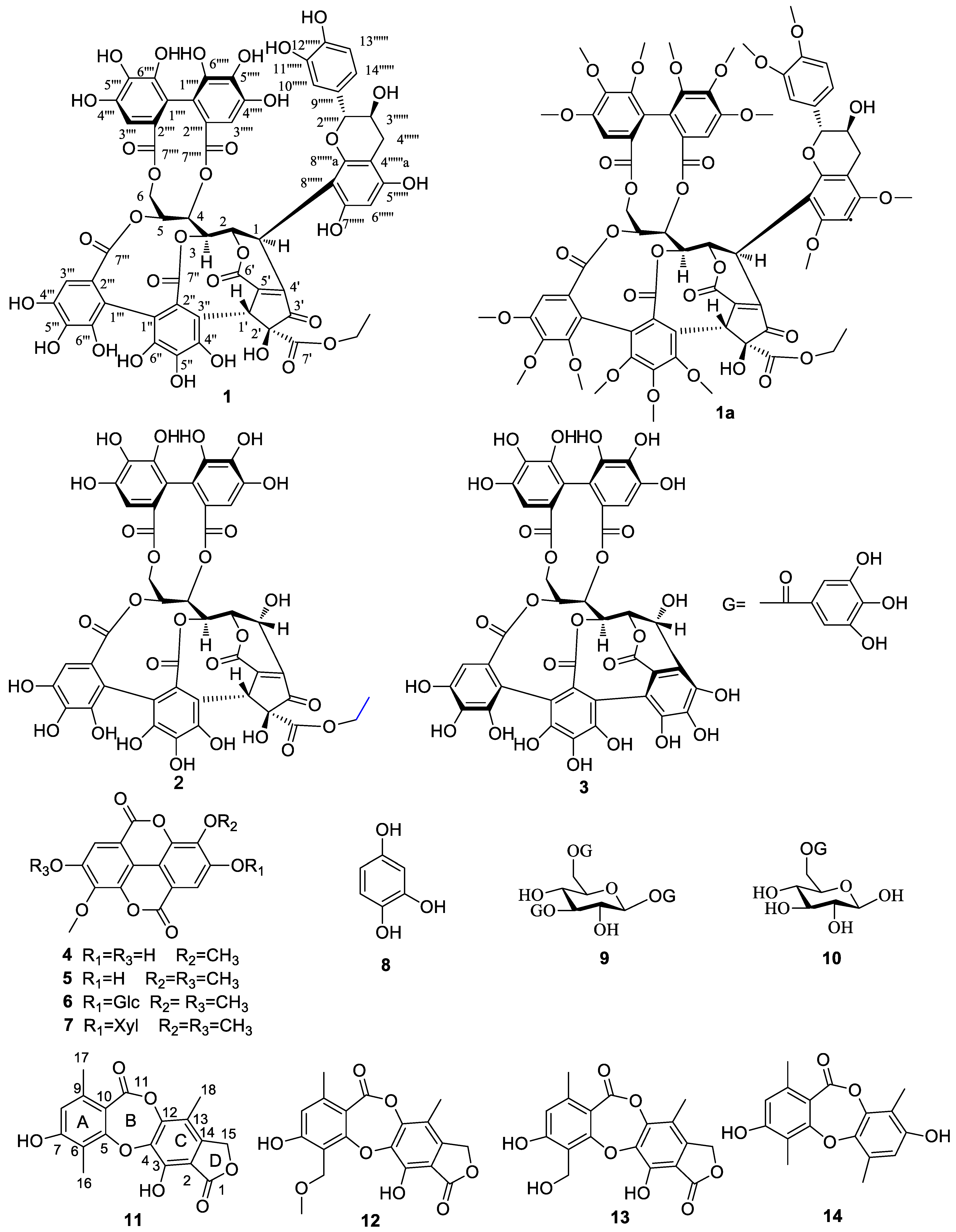 Molecules 27 01521 g001