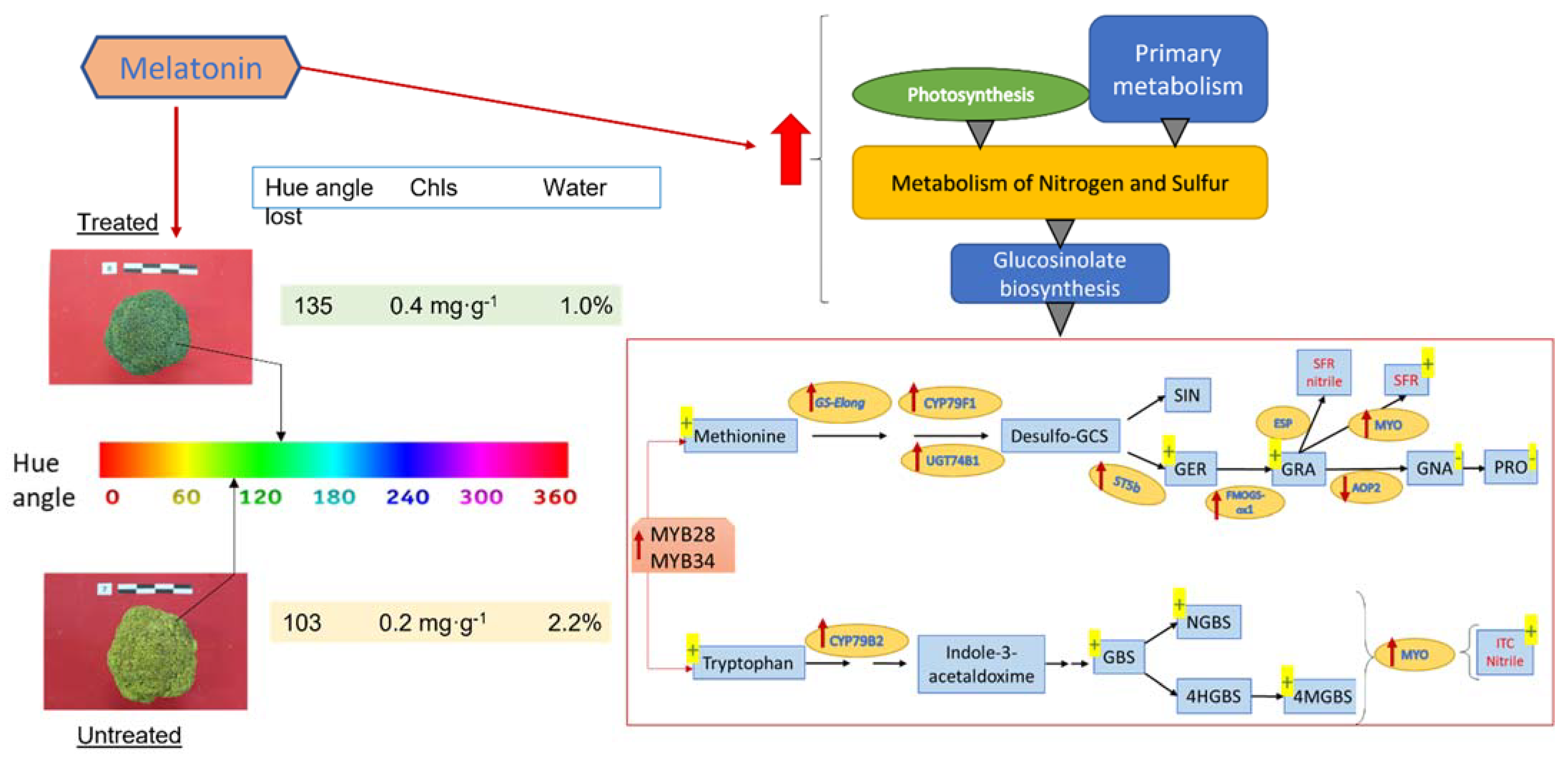 Molecules 27 01523 g001