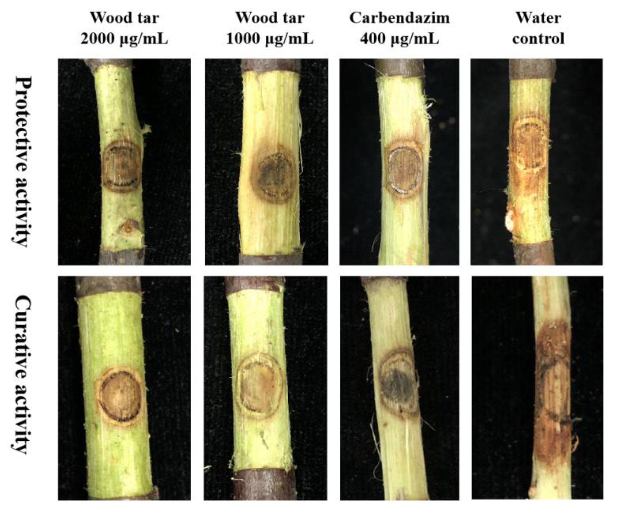 Molecules | Free Full-Text | Potential Value of Wood Tar as a Natural  Fungicide against Valsa mali | HTML