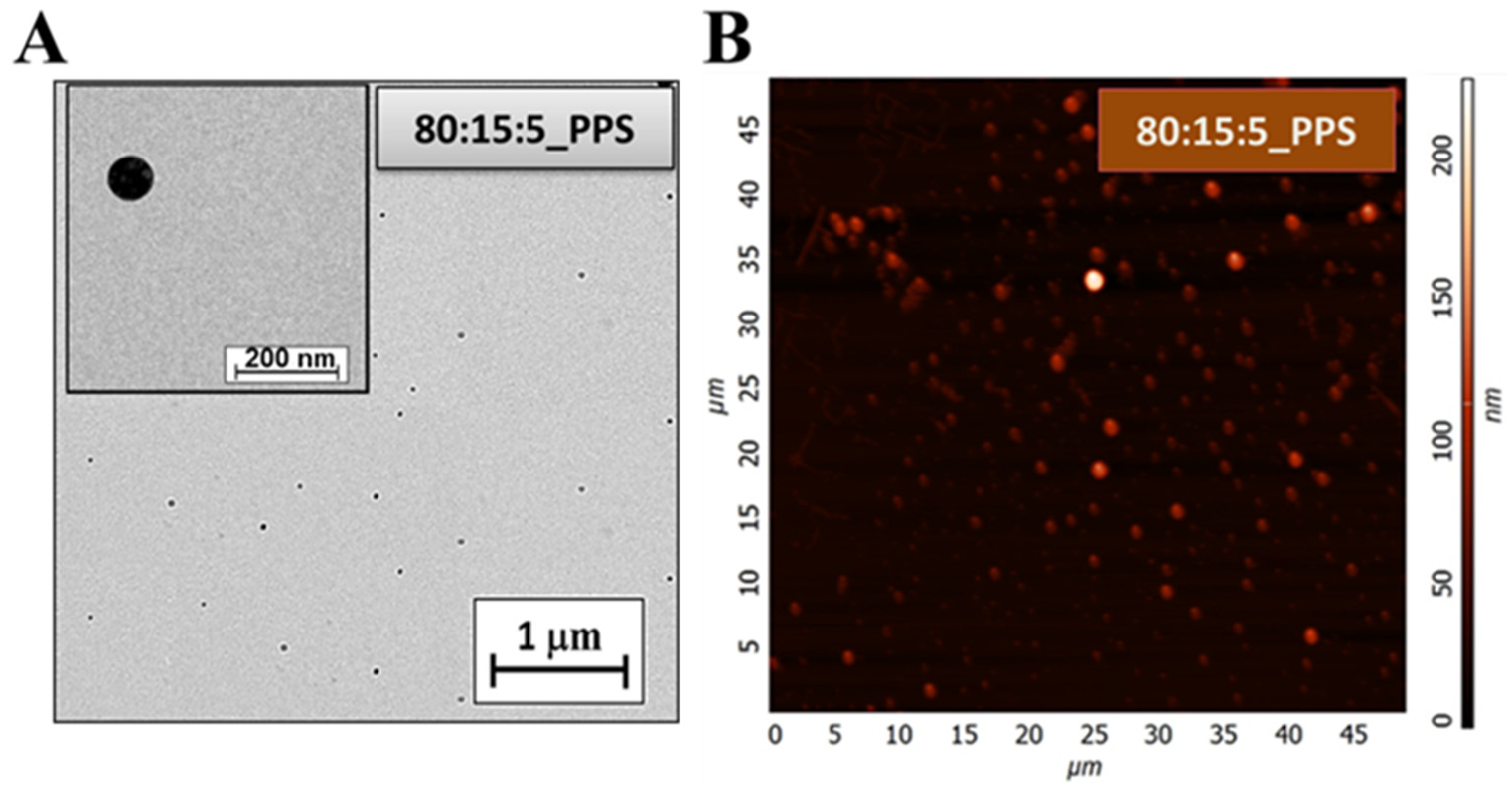 Molecules 27 01536 g009