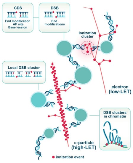 Molecules, Free Full-Text