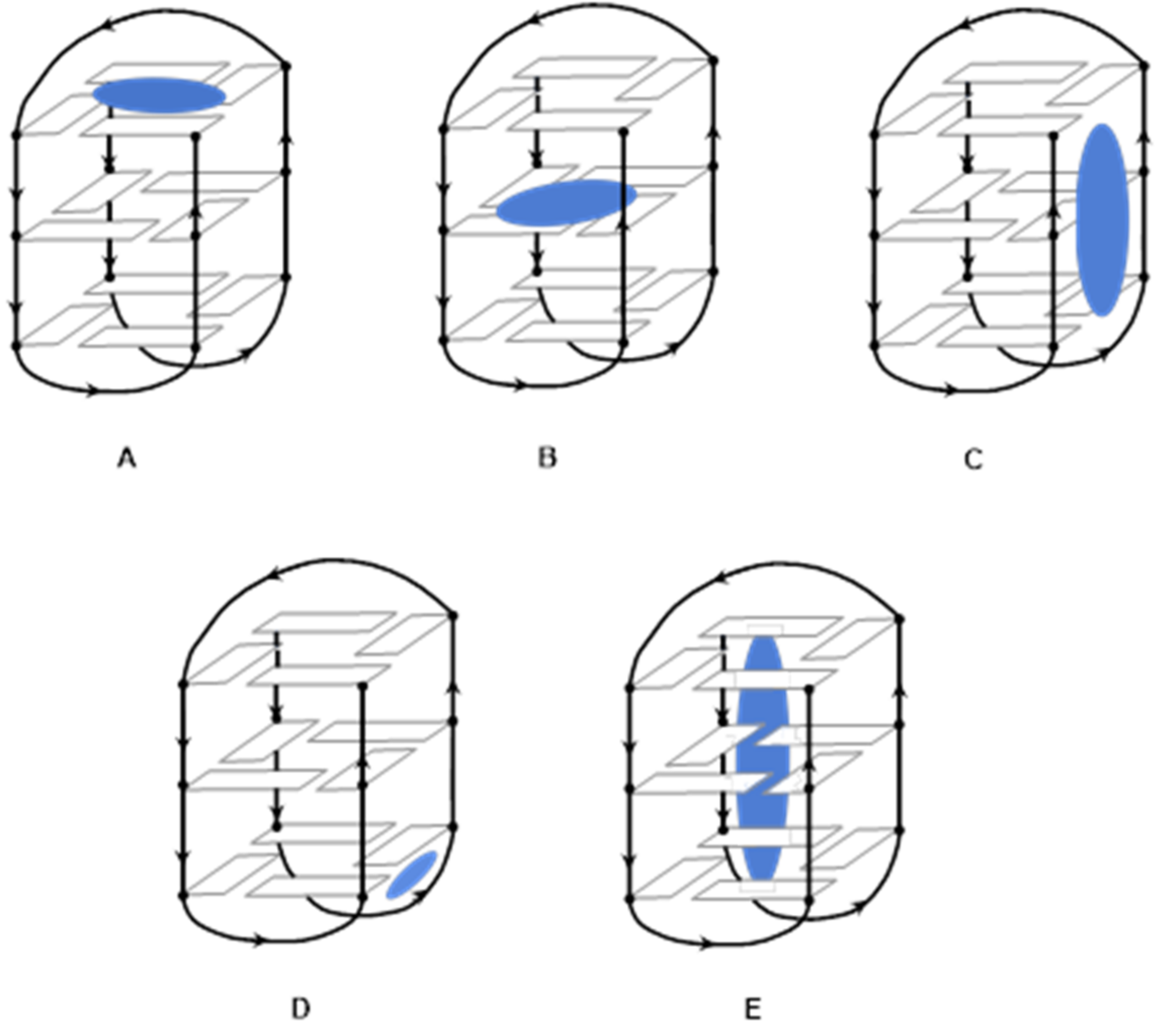 Molecules 27 01541 g004