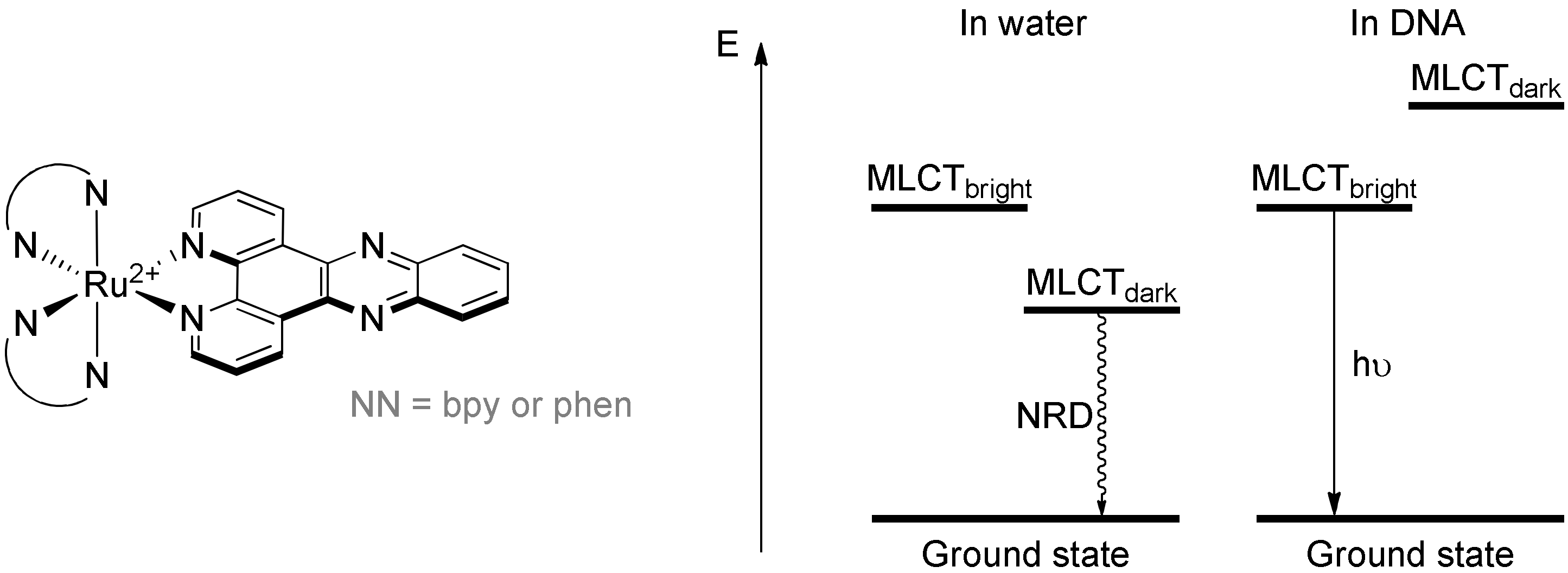 Molecules 27 01541 g013