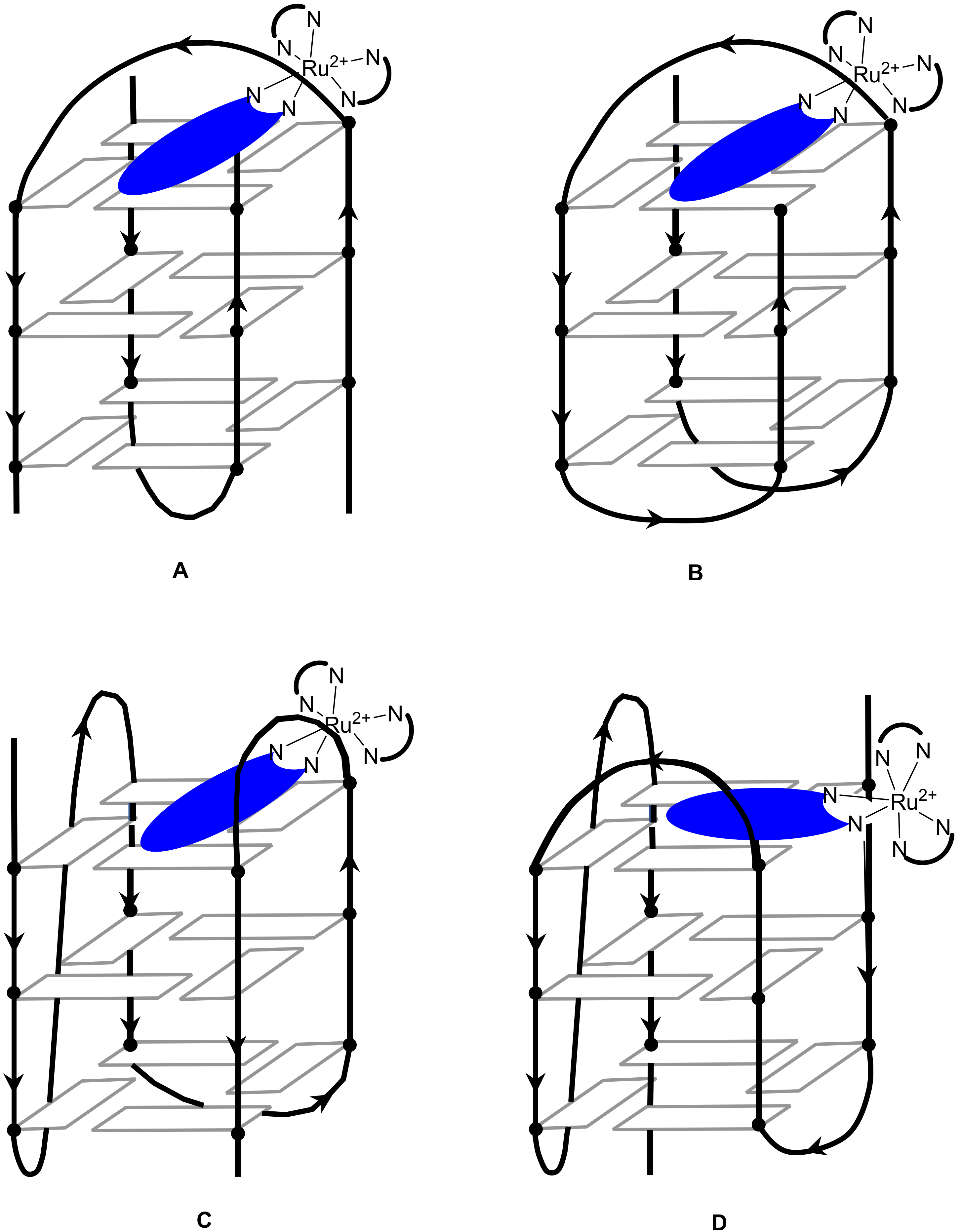 Molecules 27 01541 g014