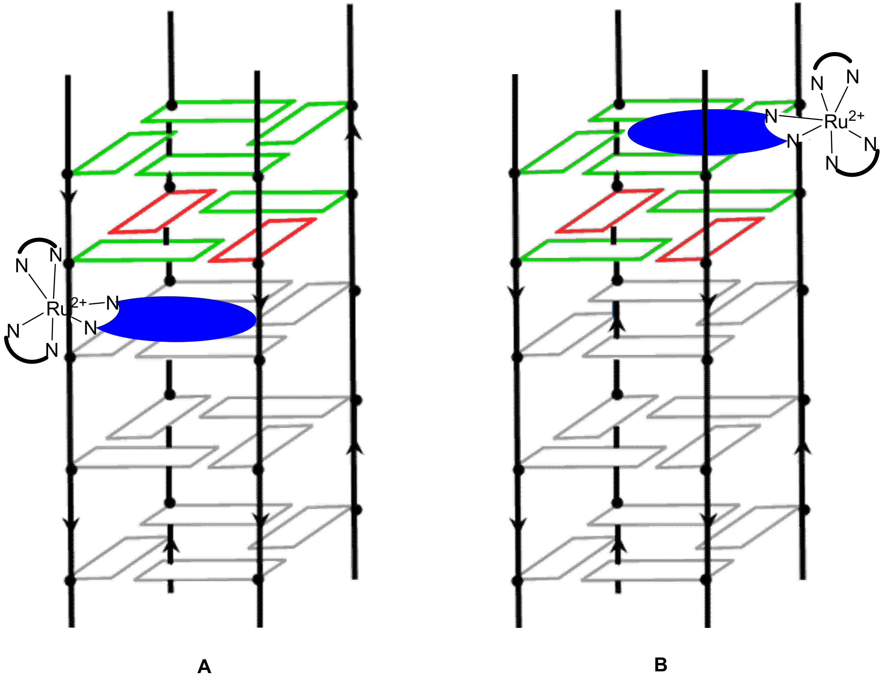 Molecules 27 01541 g016