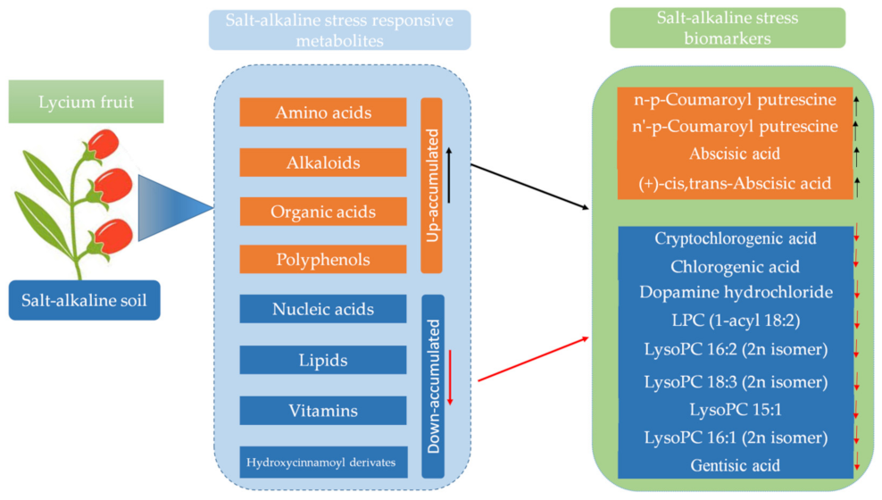 Molecules 27 01564 g006