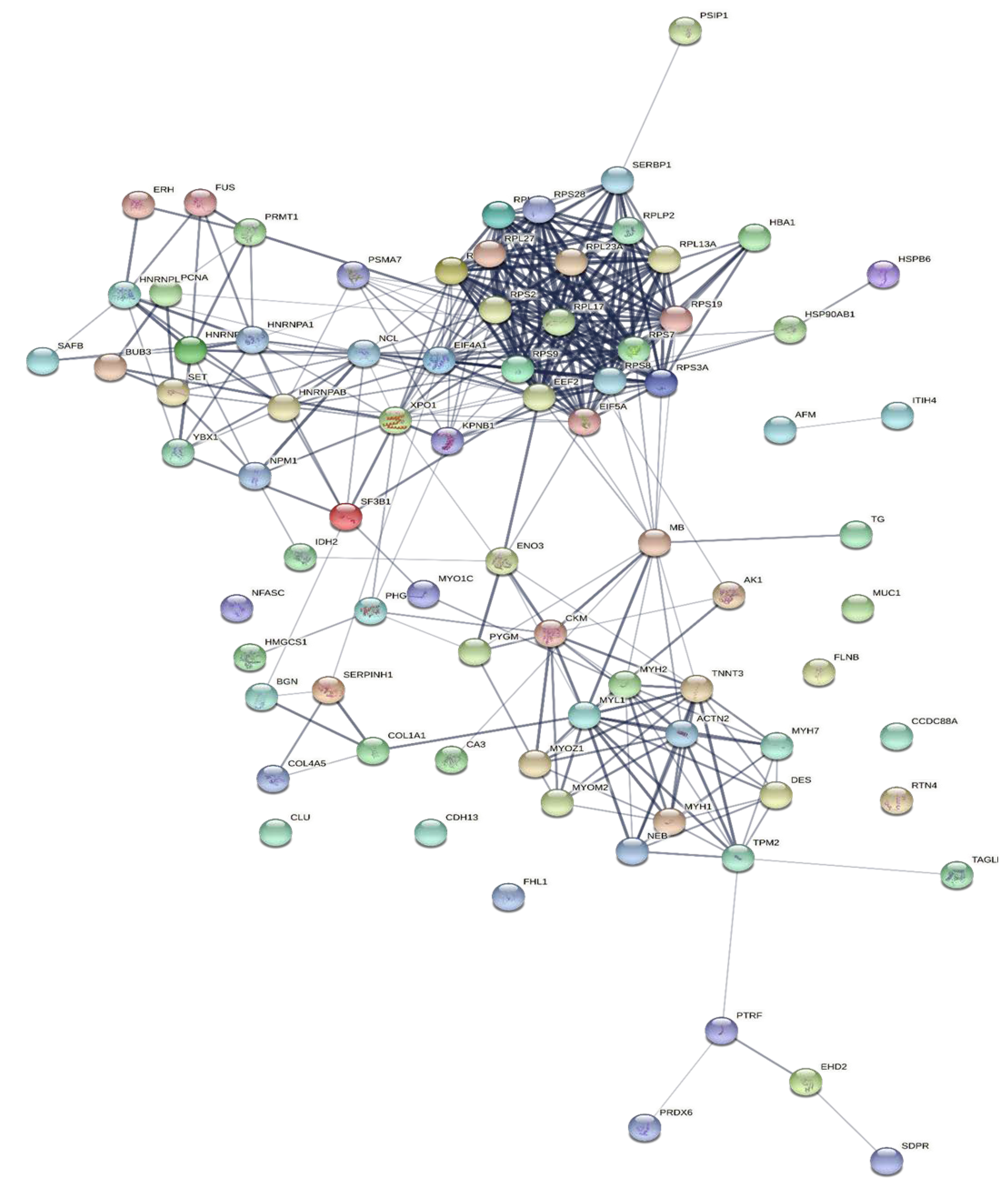 Molecules 27 01575 g006