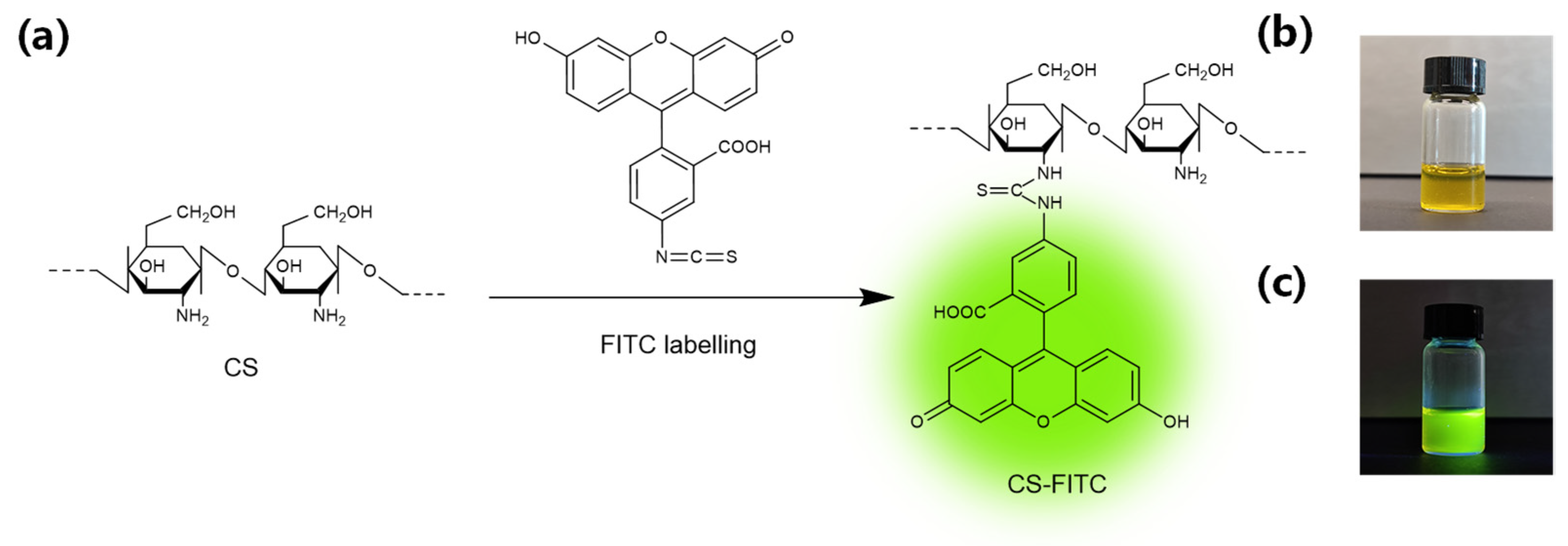 Molecules 27 01586 g001