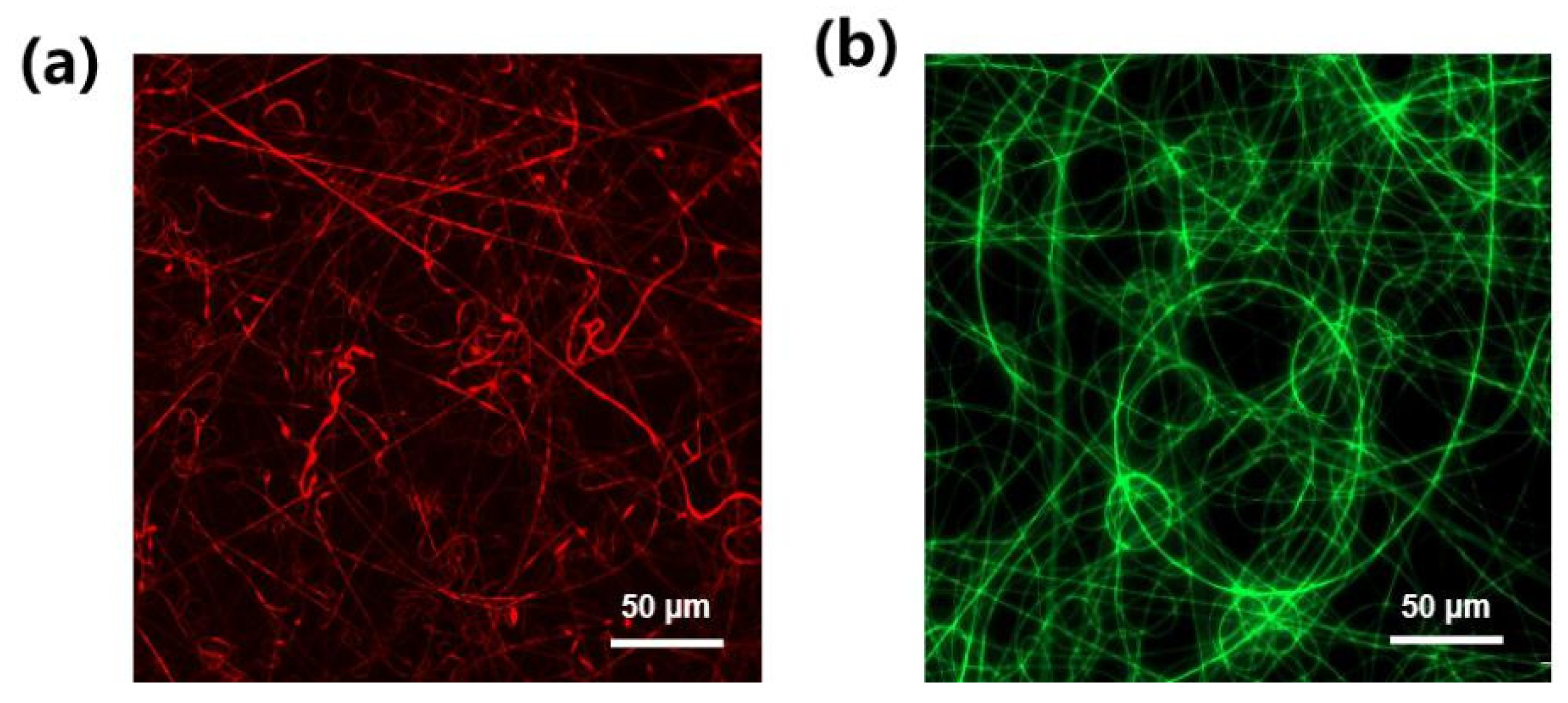 Molecules 27 01586 g003