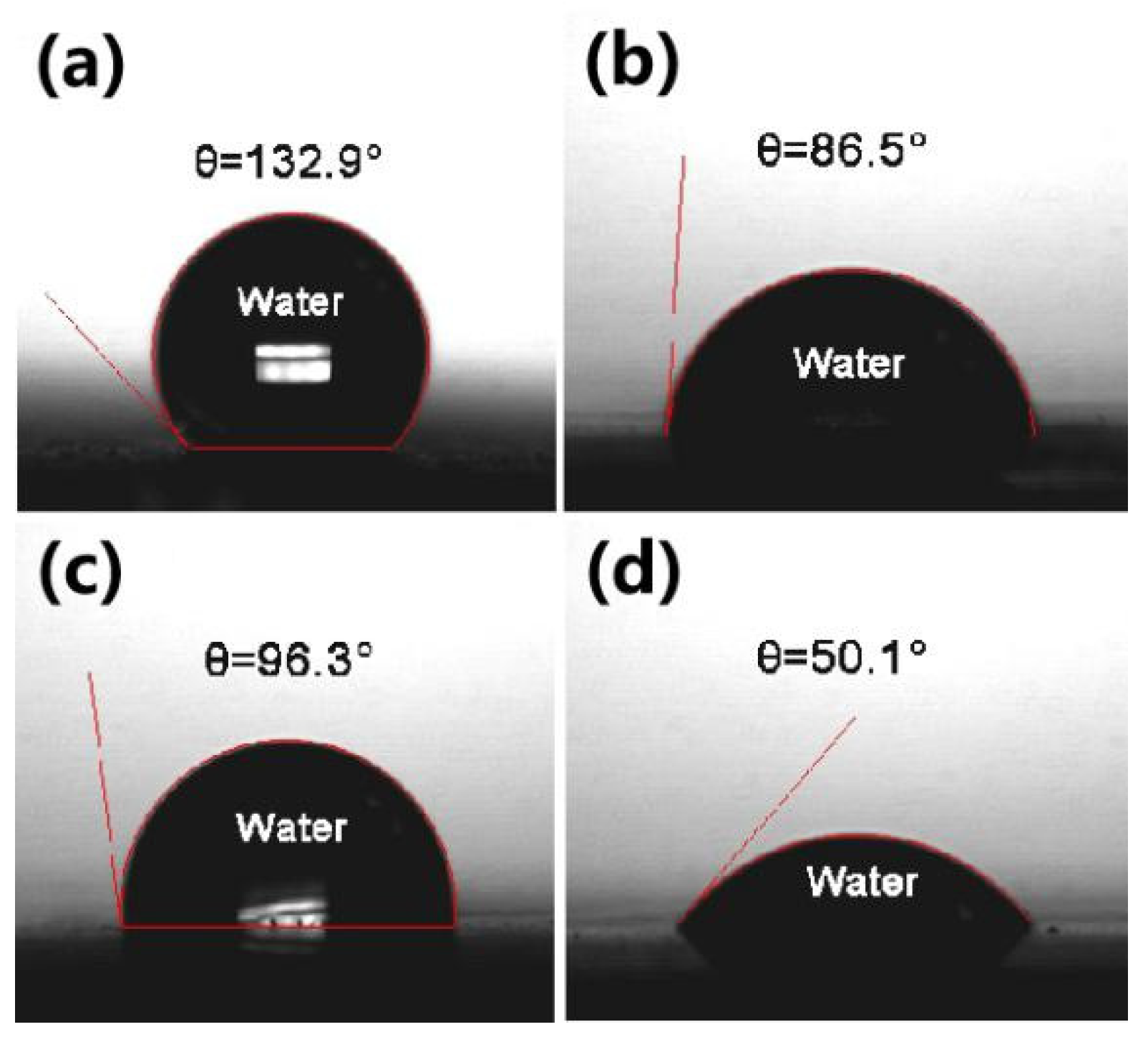 Molecules 27 01586 g004