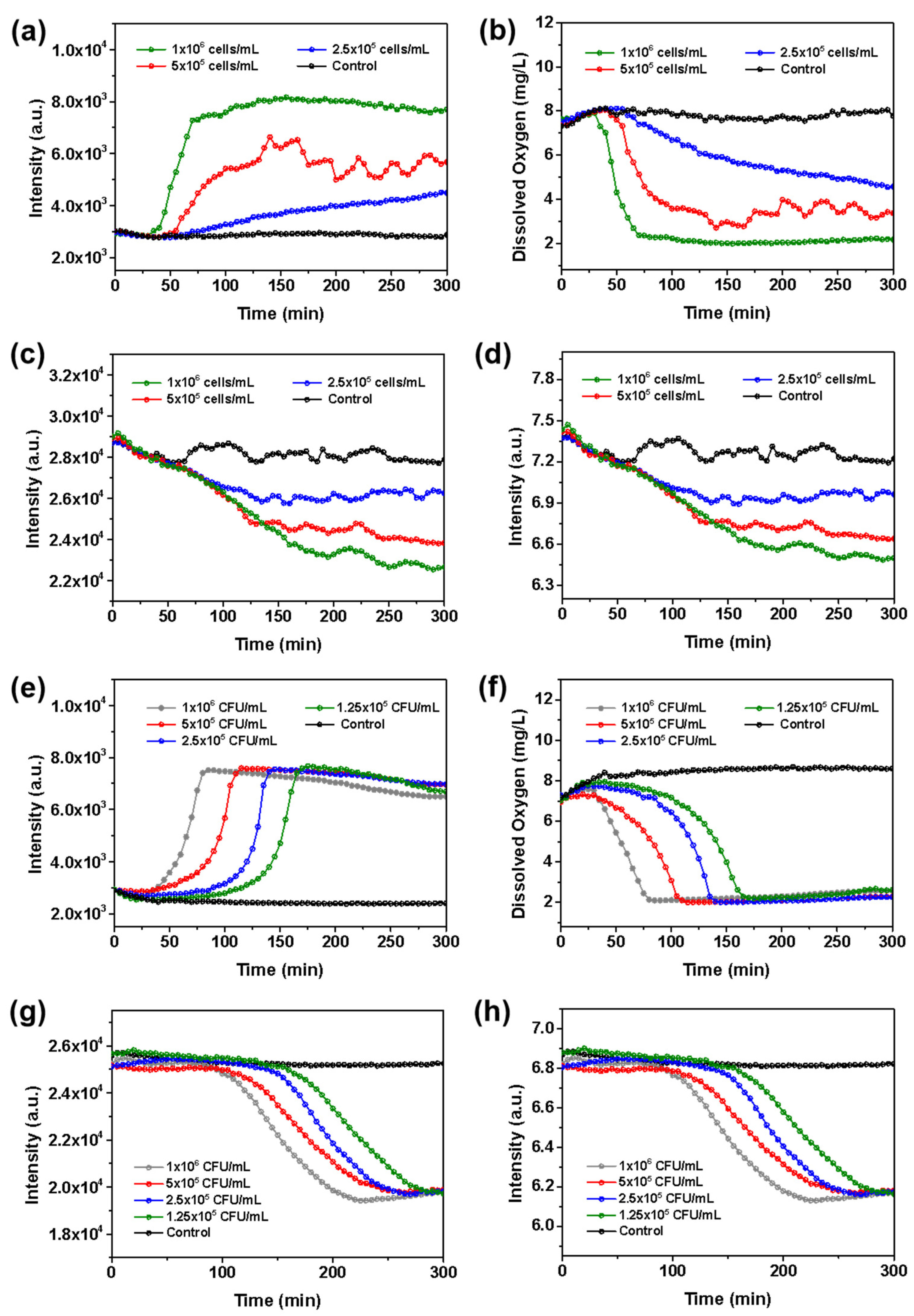 Molecules 27 01586 g007