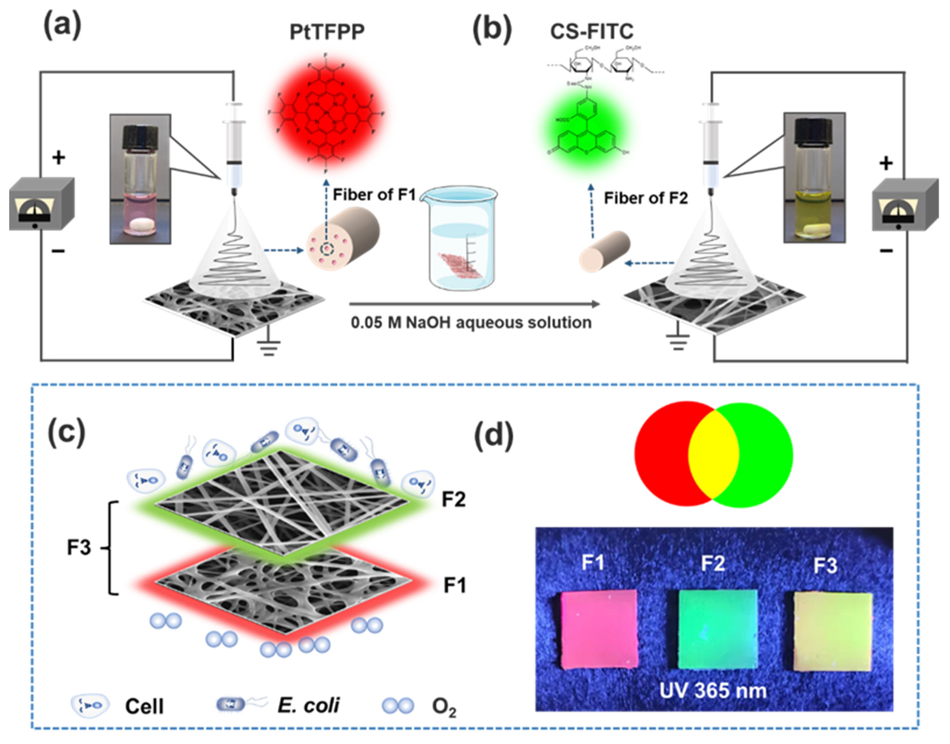 Molecules 27 01586 sch001
