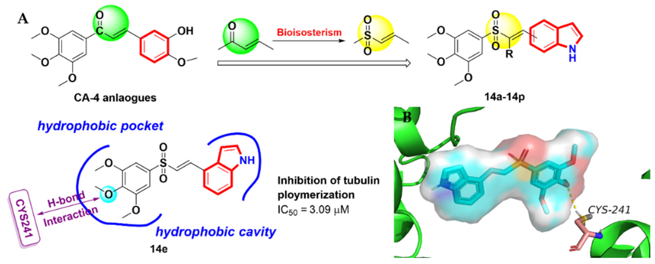 Molecules 27 01587 g007