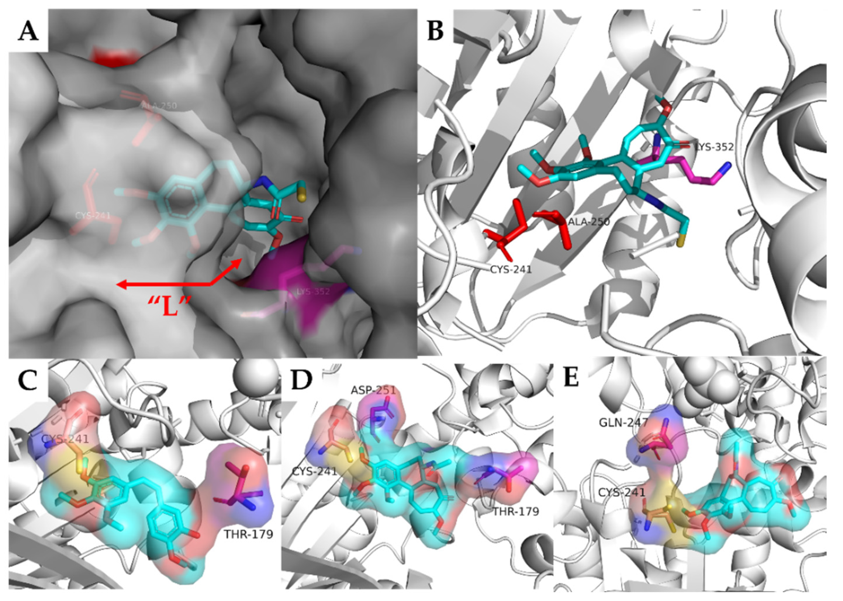 Molecules 27 01587 g020
