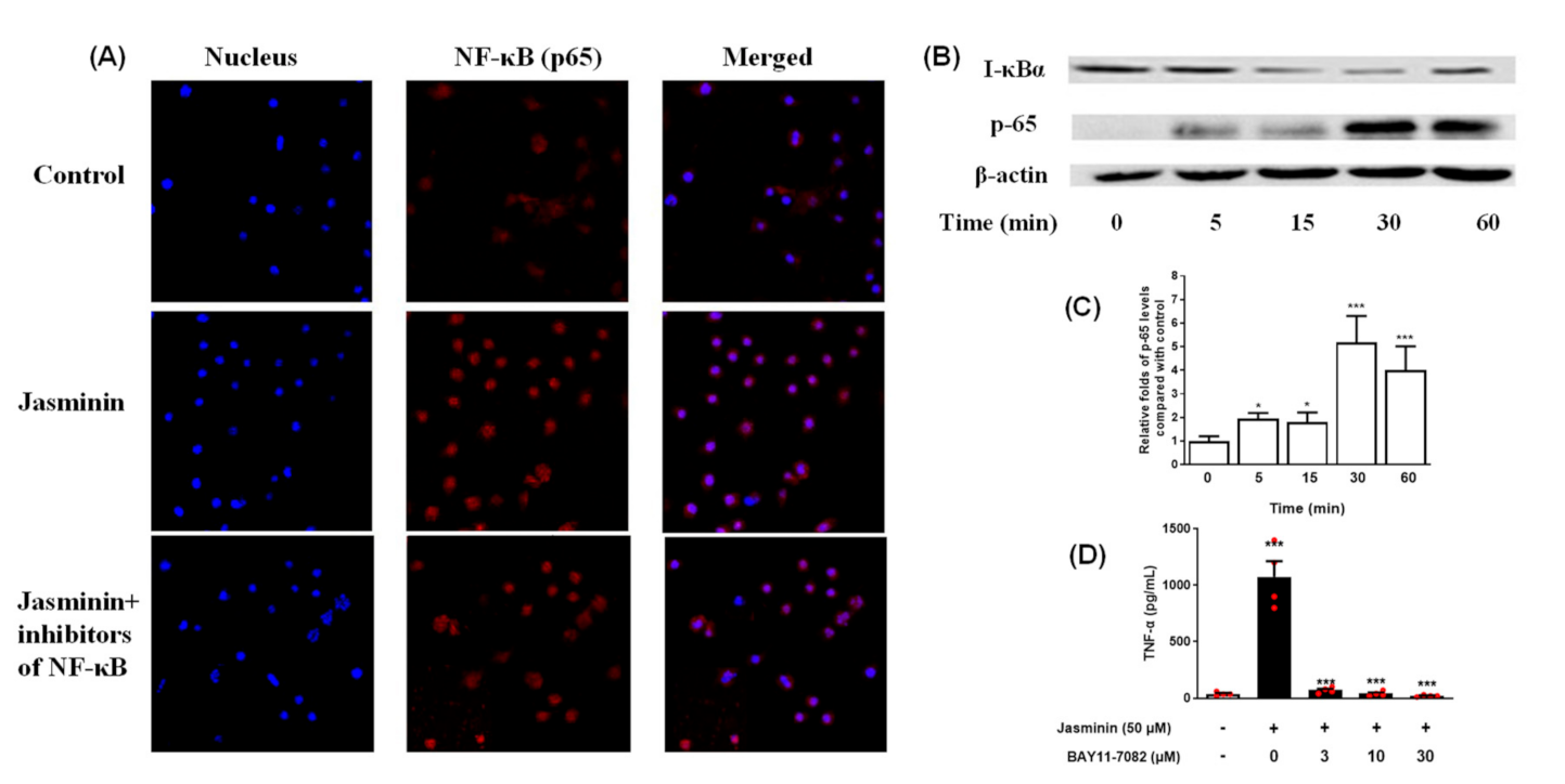 Molecules 27 01598 g005 Molecules 27 01598 g005