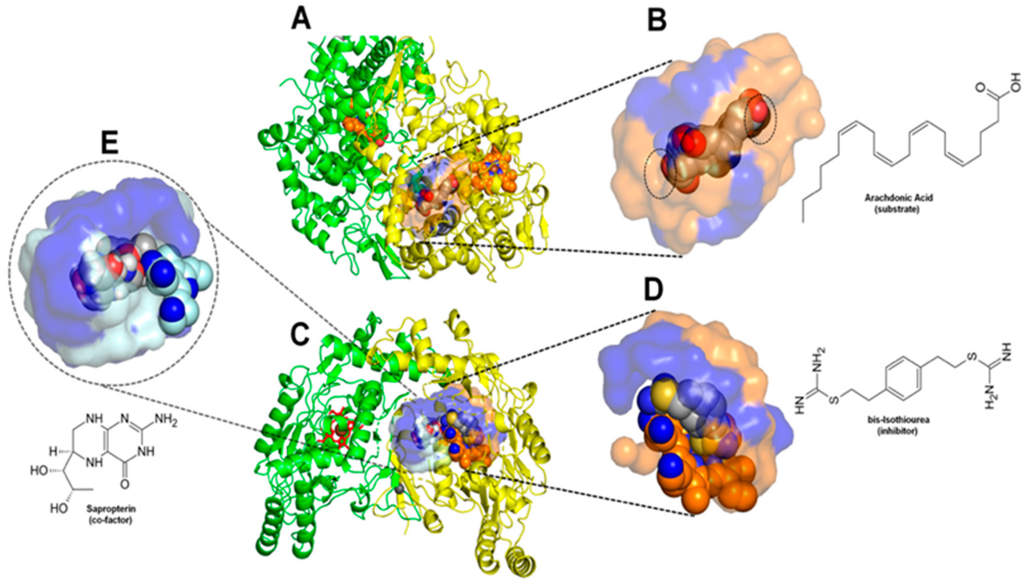 https://www.mdpi.com/molecules/molecules-27-01633/article_deploy/html/images/molecules-27-01633-g001.png