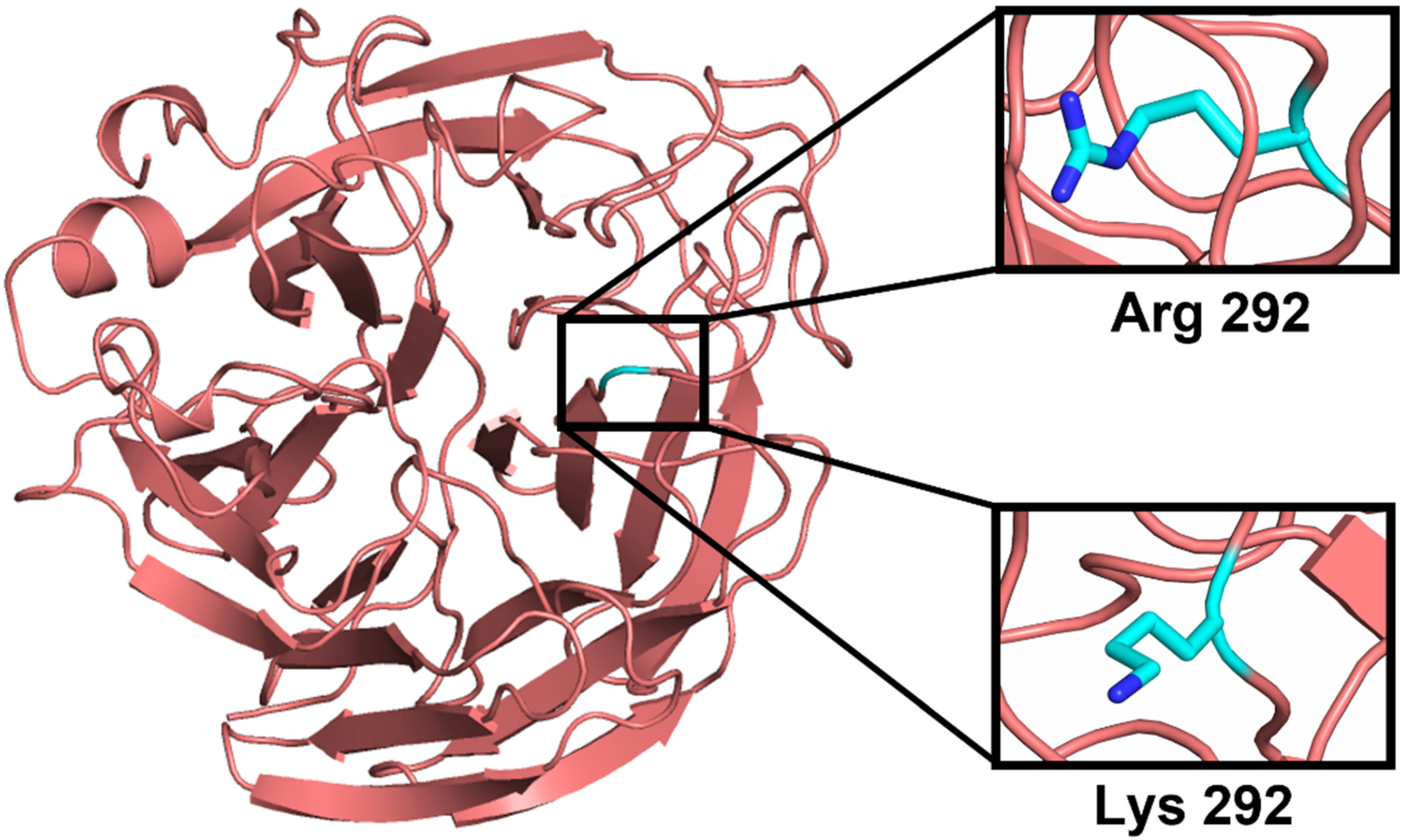 Molecules 27 01645 g002