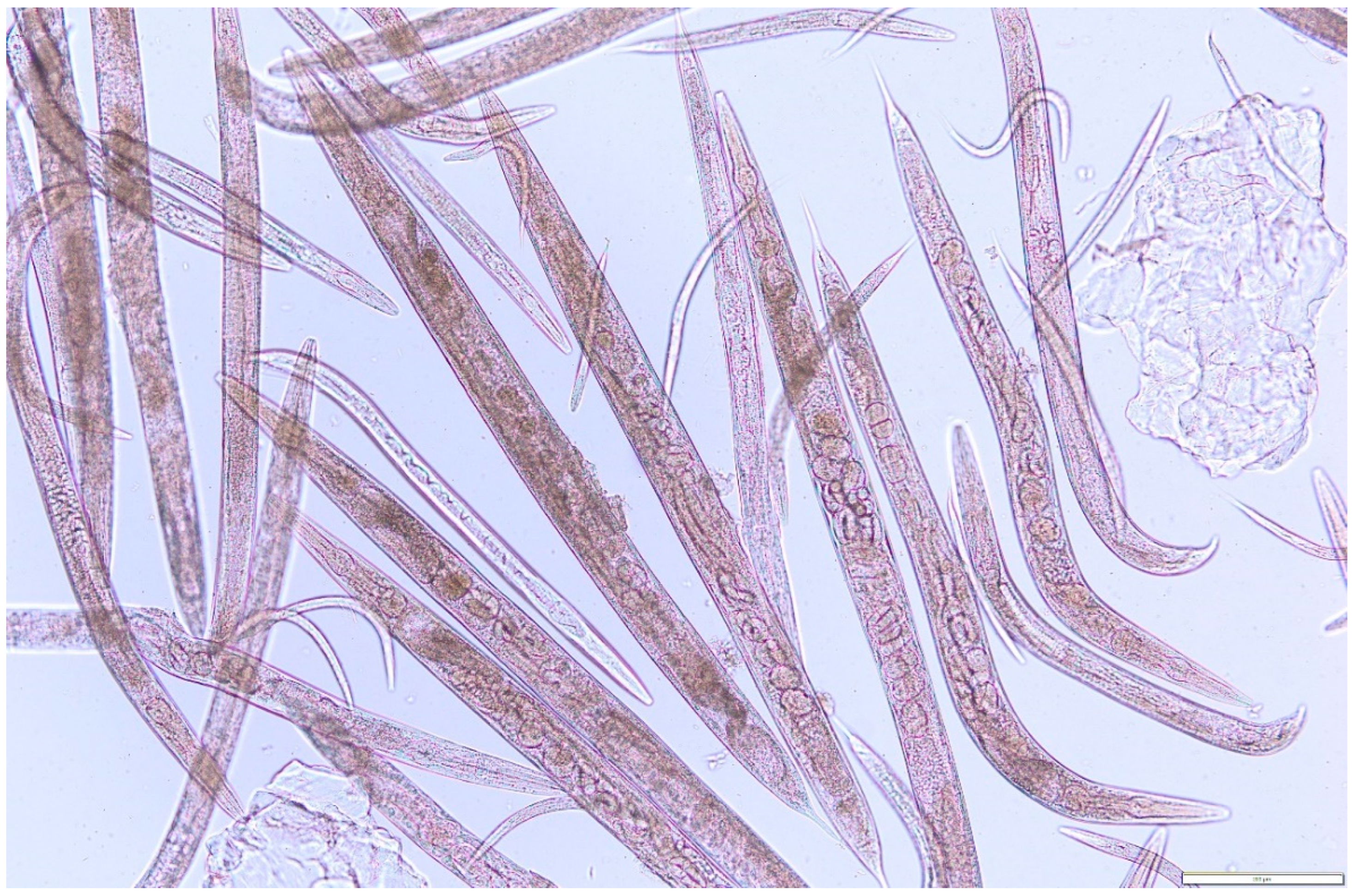 Molecules 27 01660 g007