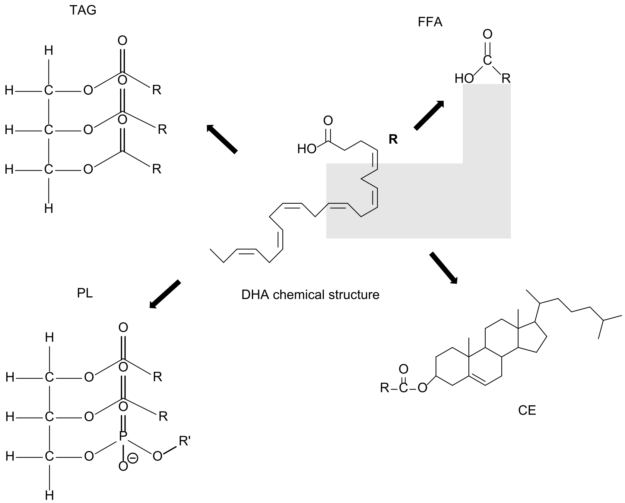 Molecules 27 01677 g001