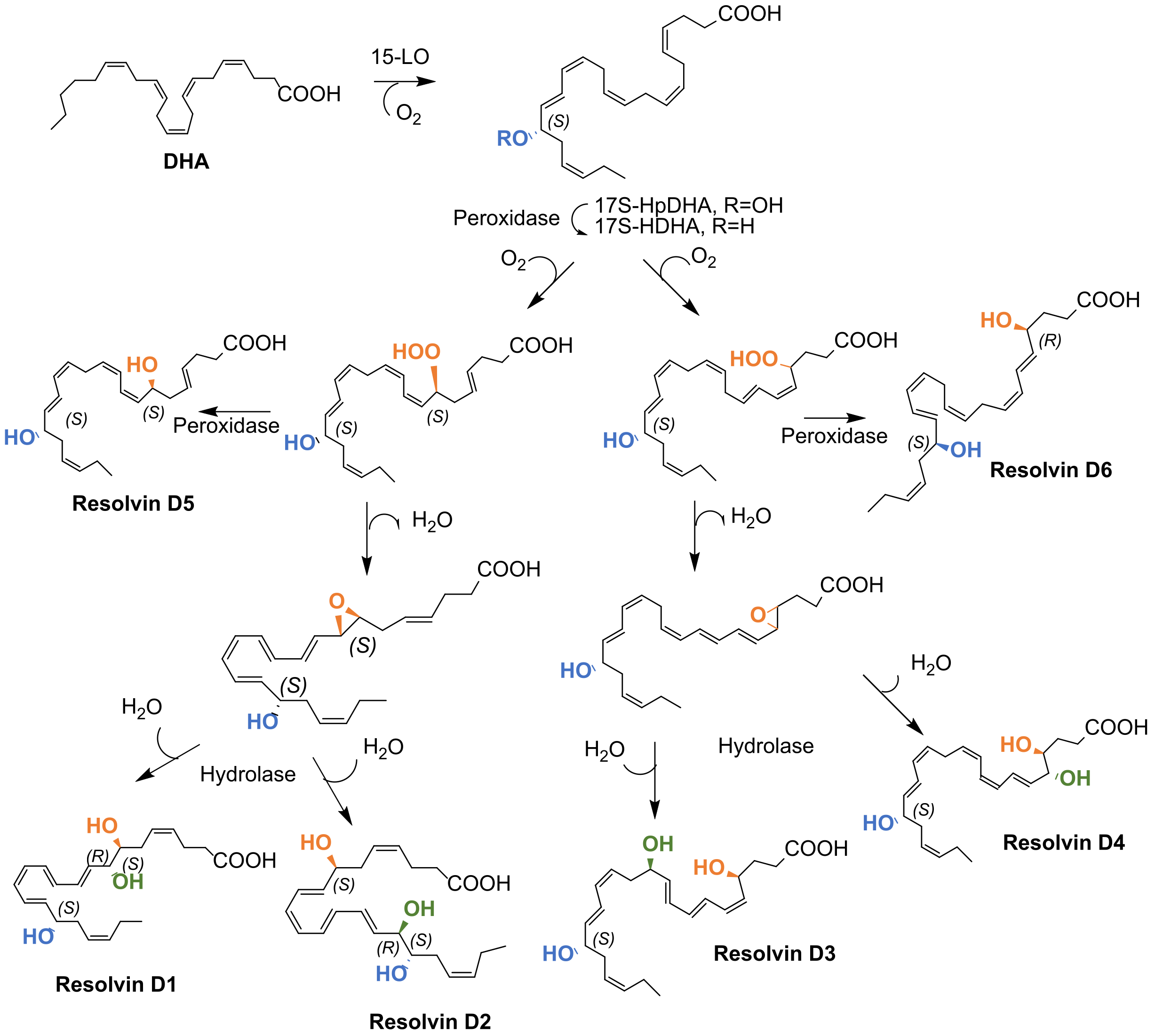Molecules 27 01677 sch002