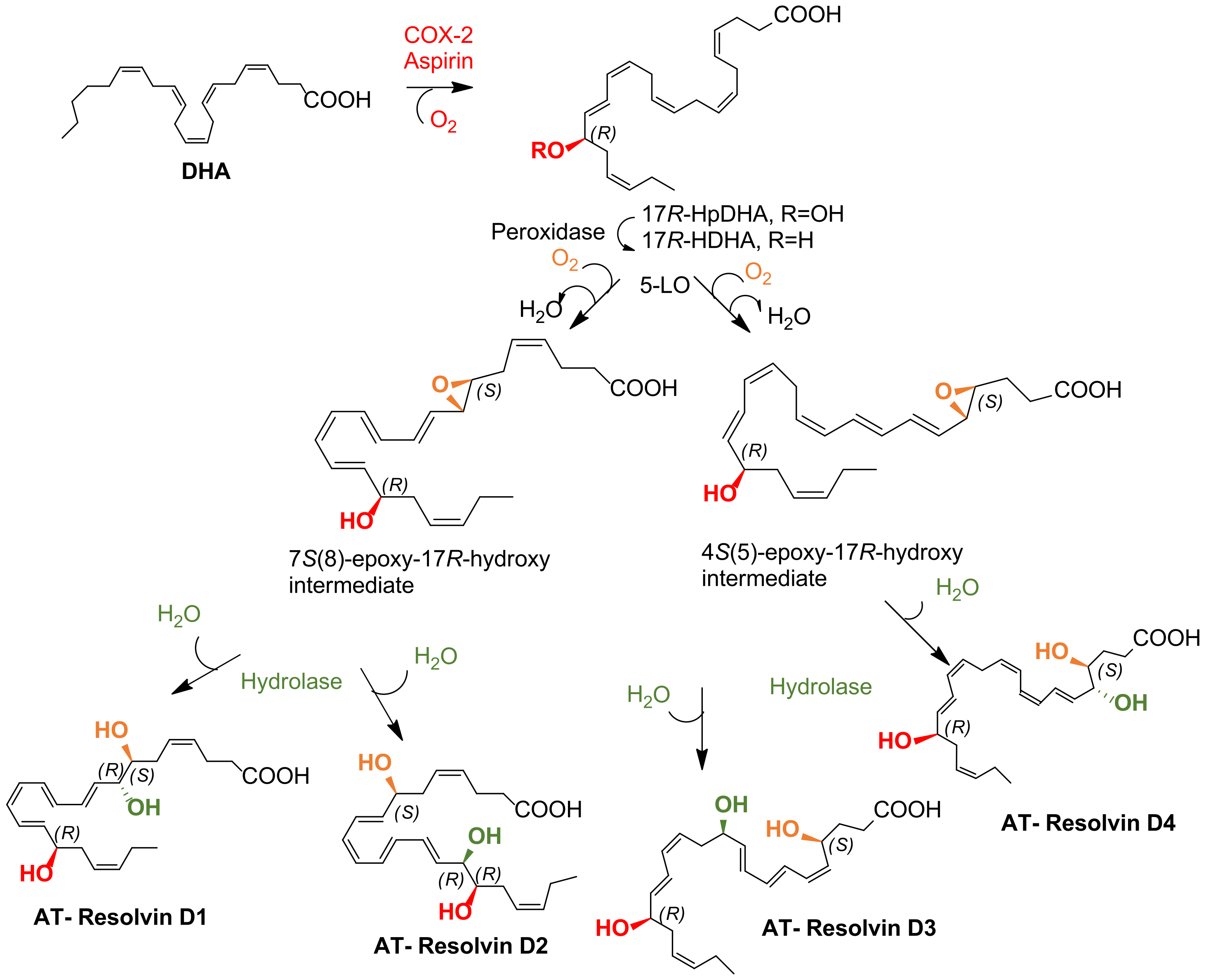 Molecules 27 01677 sch003