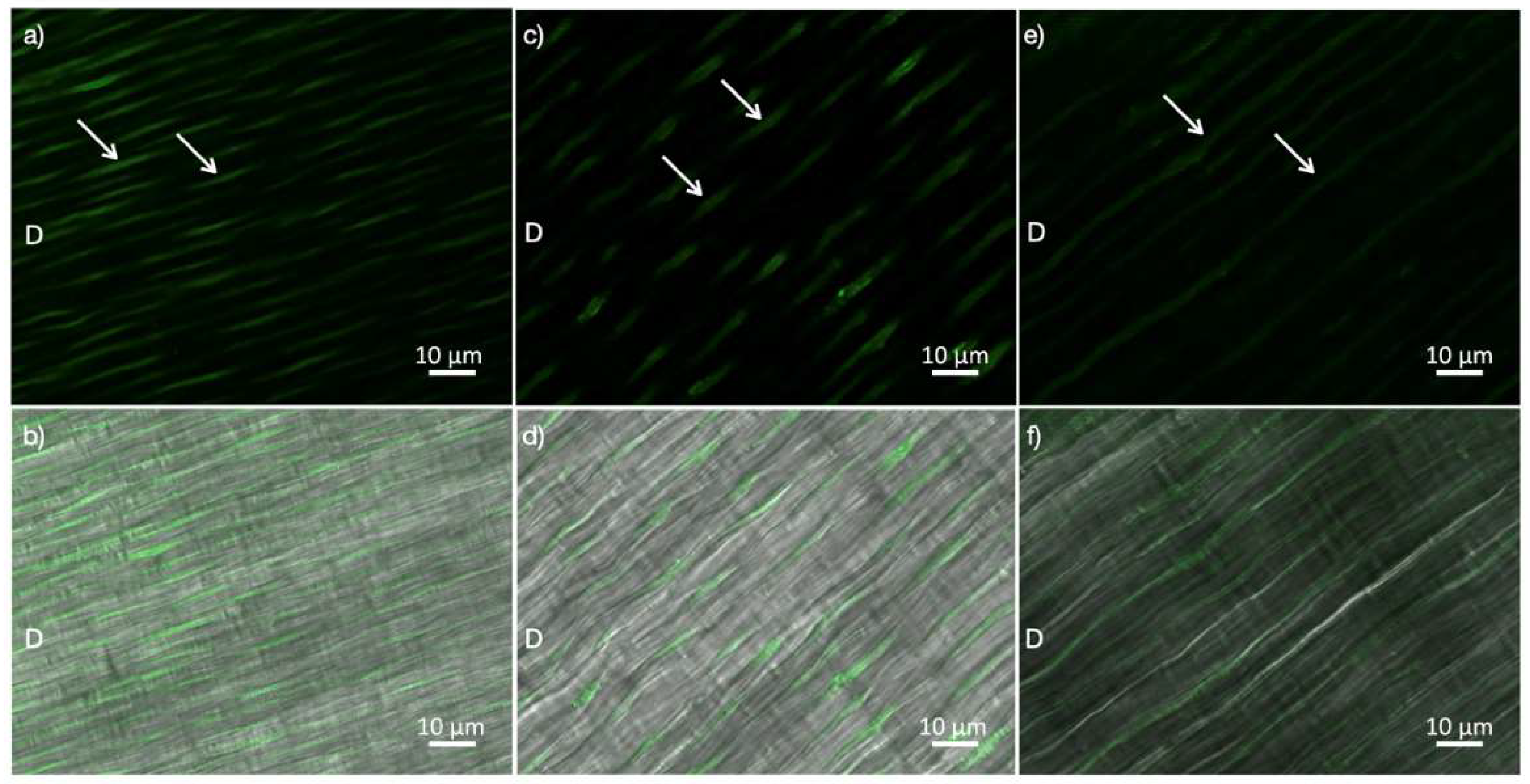 Molecules 27 01684 g002