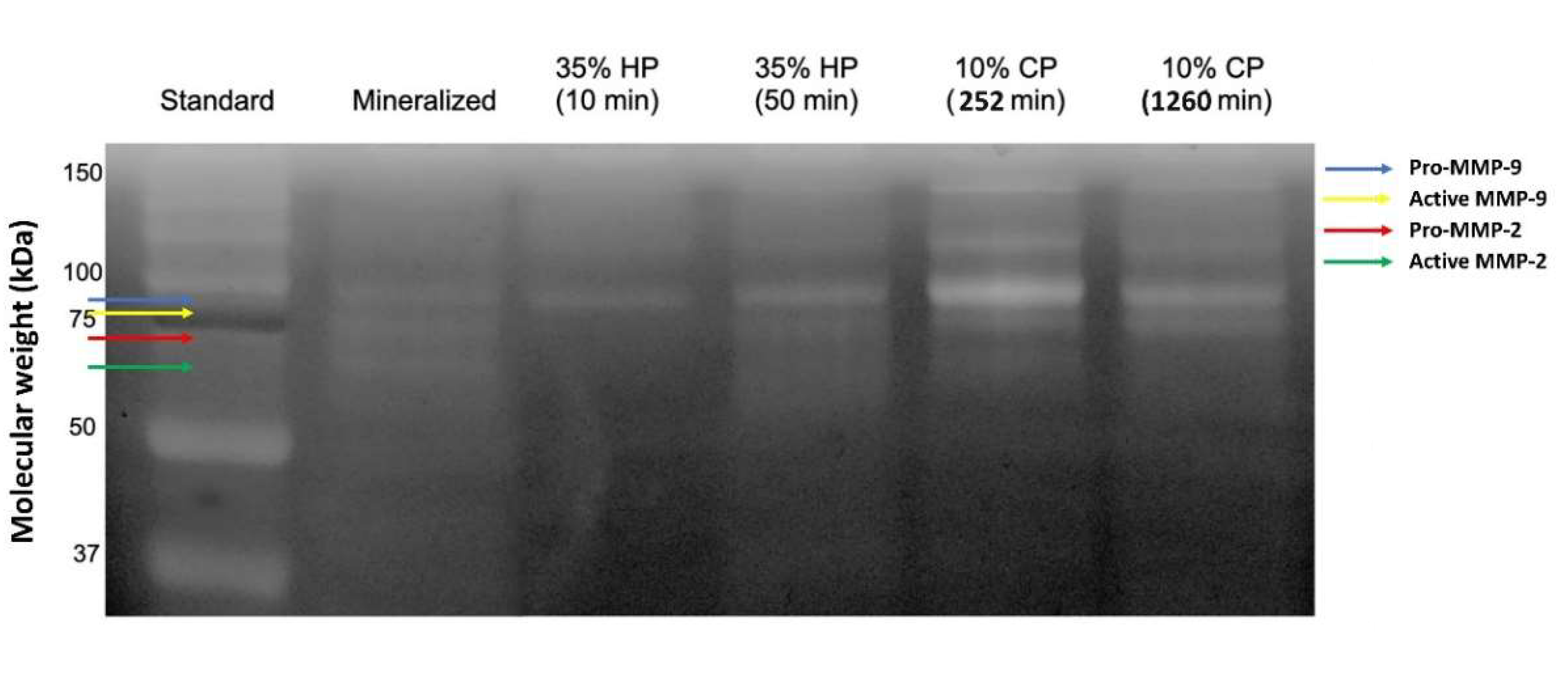 Molecules 27 01684 g003