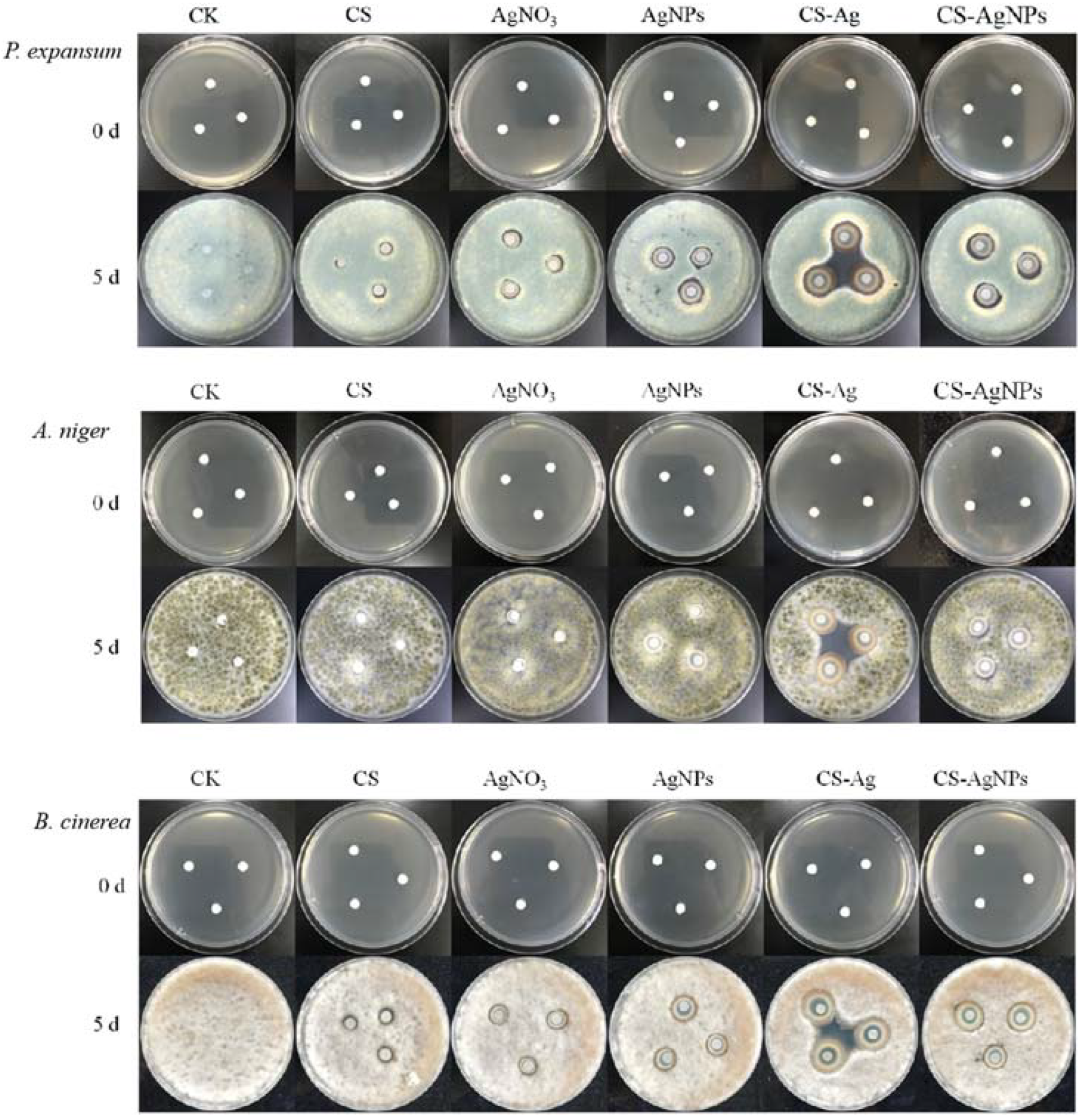Molecules 27 01688 g006