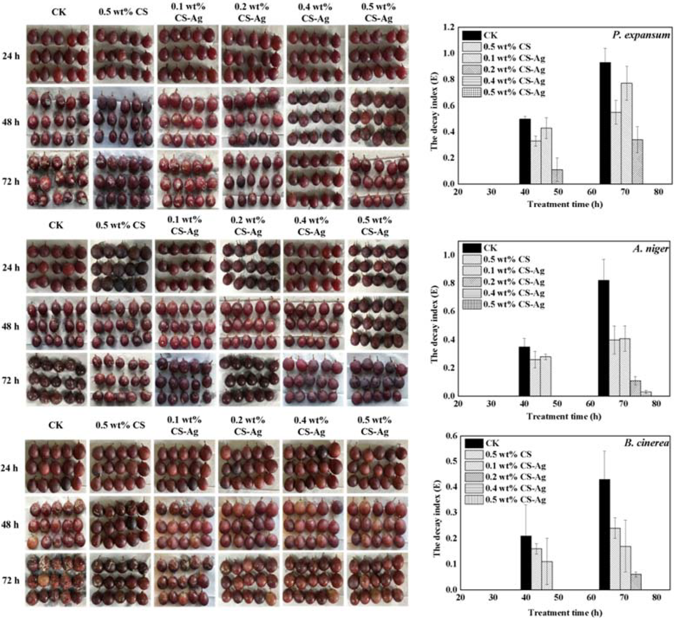Molecules 27 01688 g007