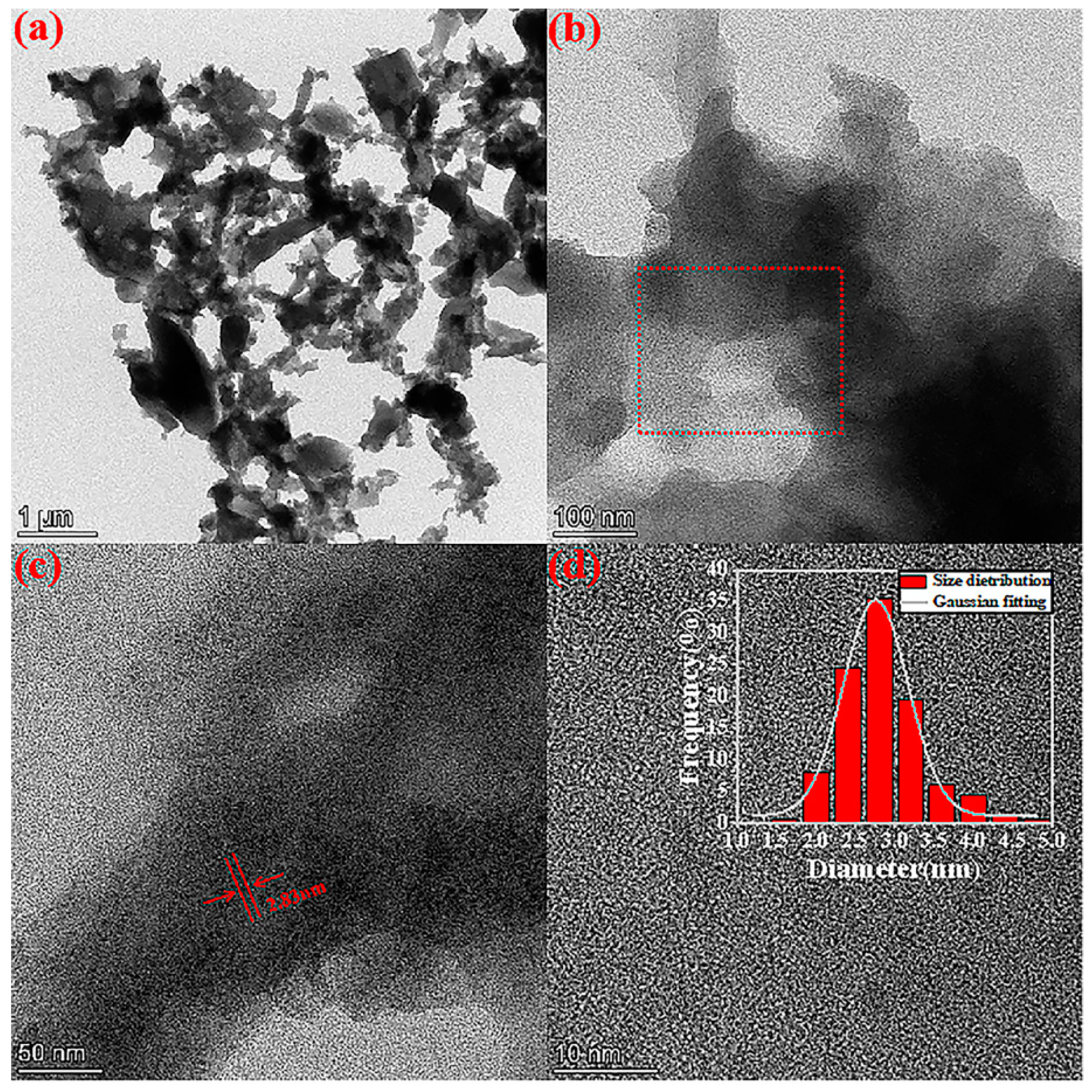 Molecules 27 01690 g006