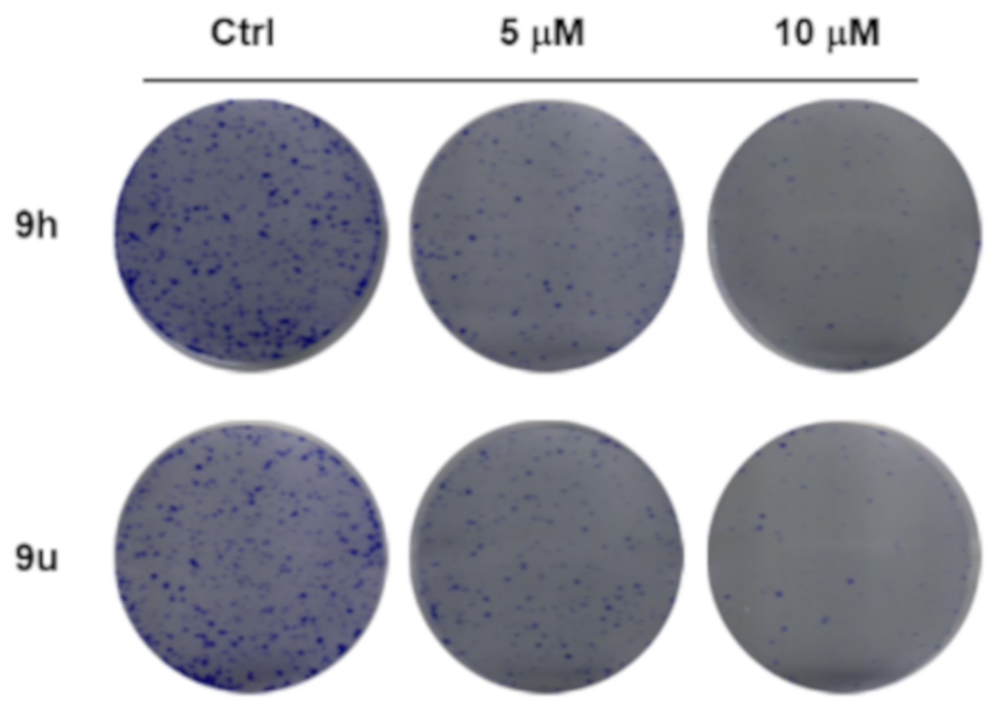 Molecules 27 01698 g001