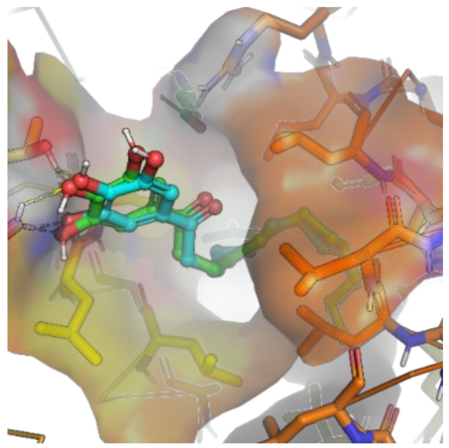 Molecules 27 01698 g004