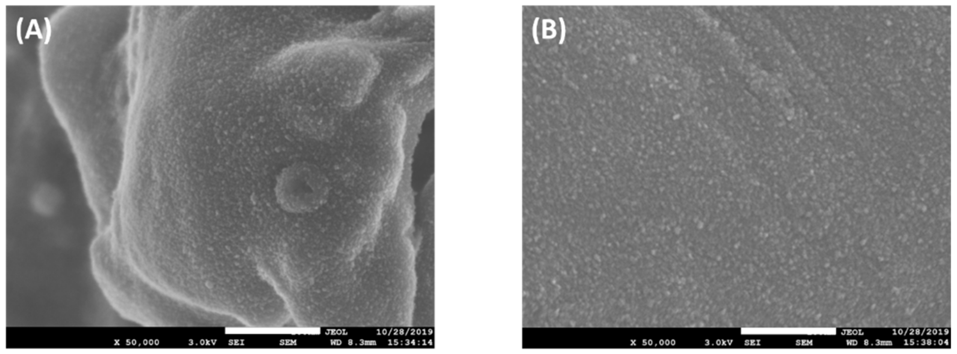 Molecules 27 01718 g002