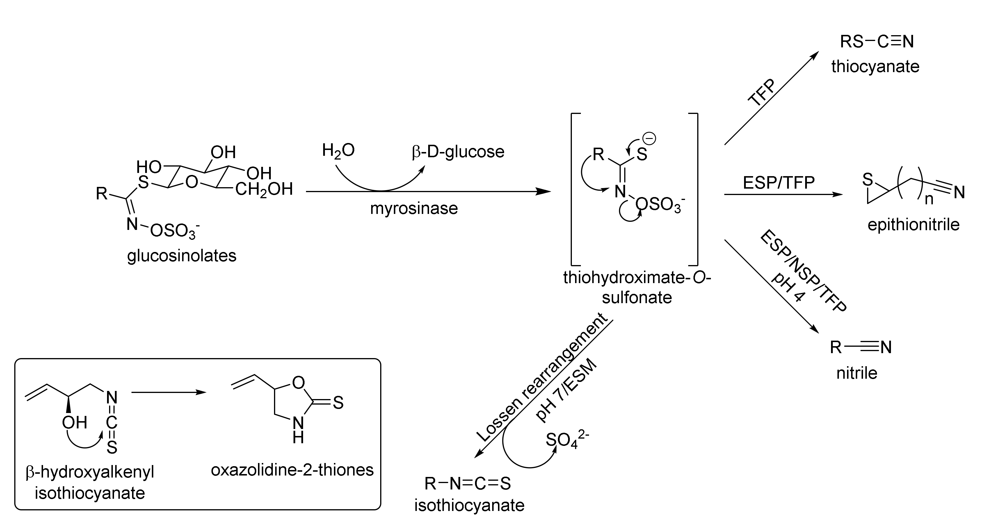 Molecules 27 01750 g002 Molecules 27 01750 g002