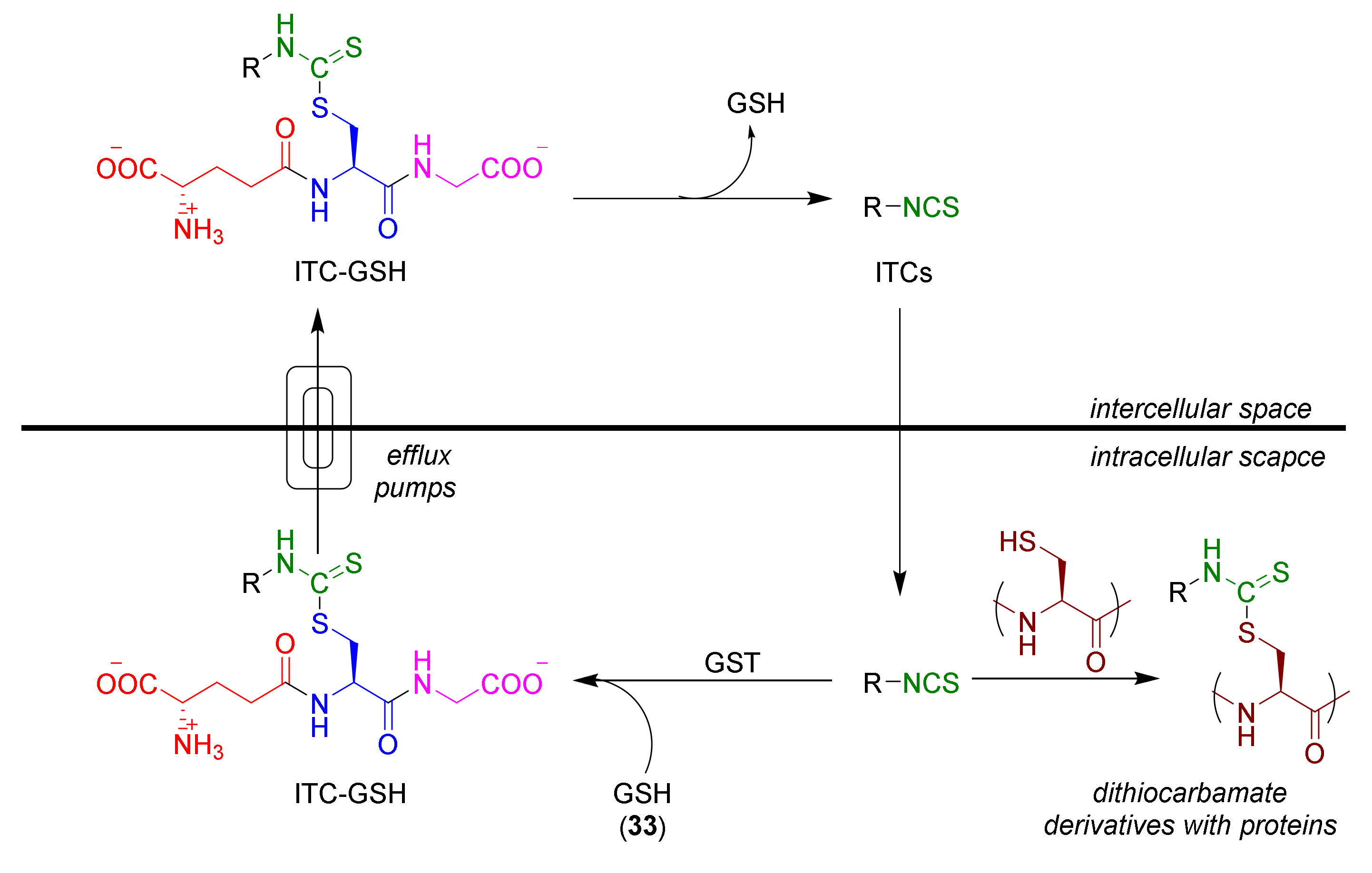 Molecules 27 01750 g007 Molecules 27 01750 g007