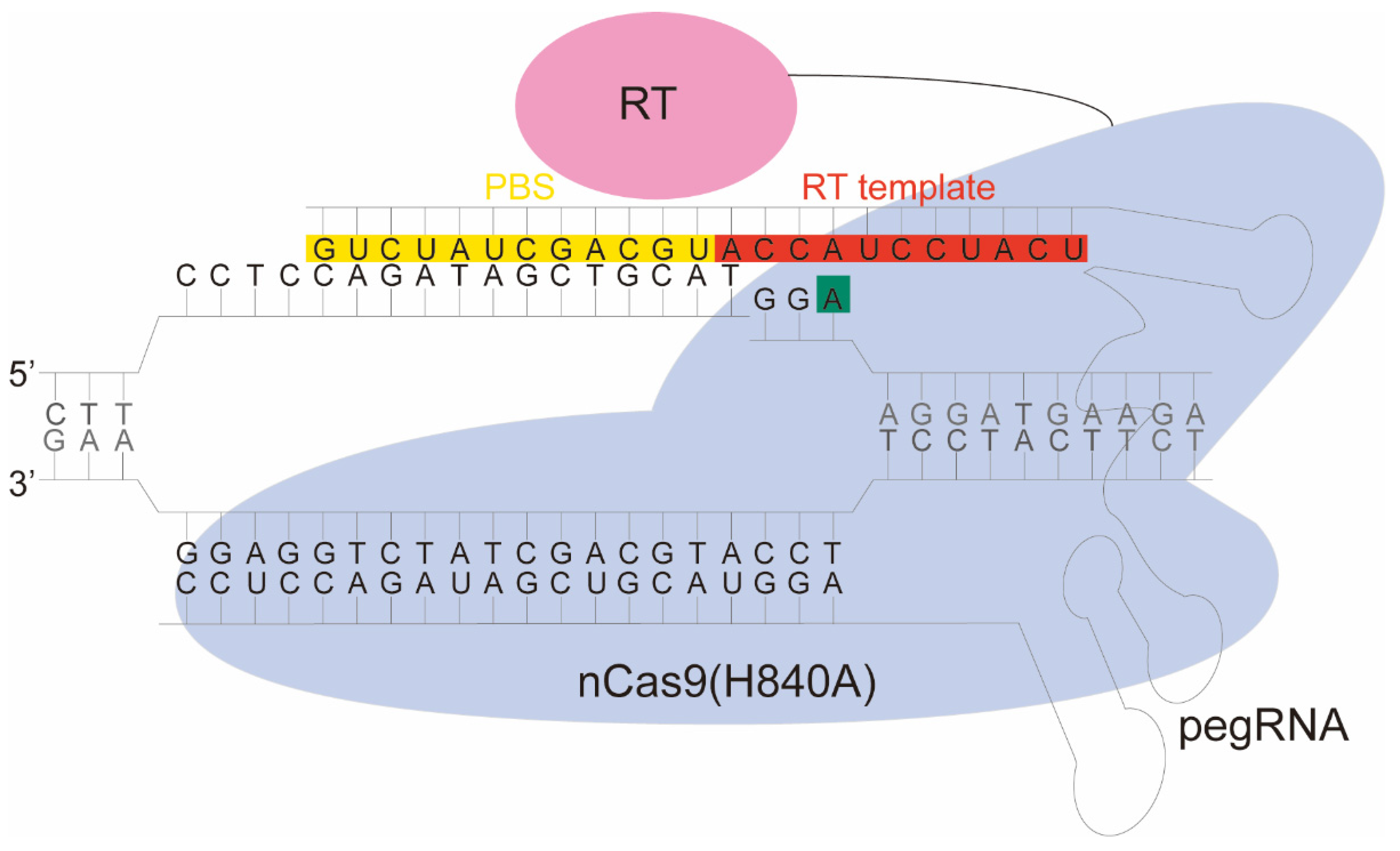 Molecules 27 01758 g001